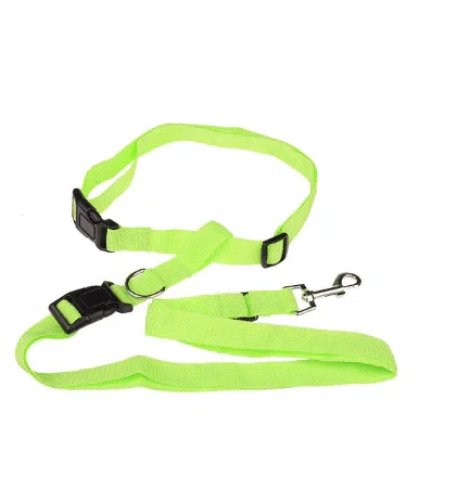 lime leash.webp
