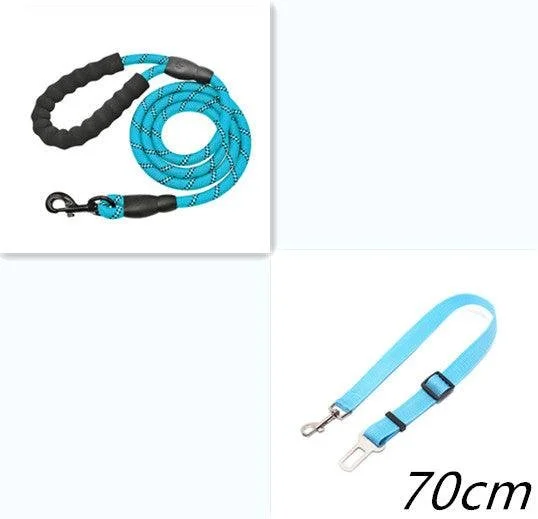 leash set1.jpg