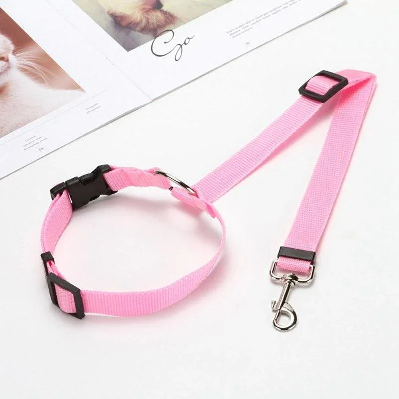 pink leash.webp