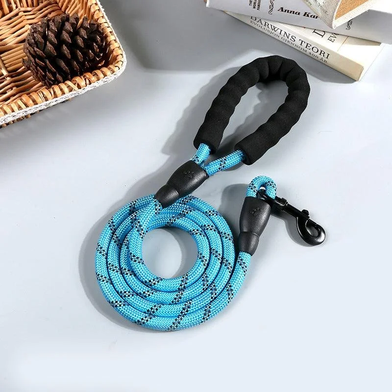 leash blu glow.jpg