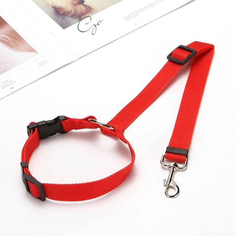 red leash.jpg