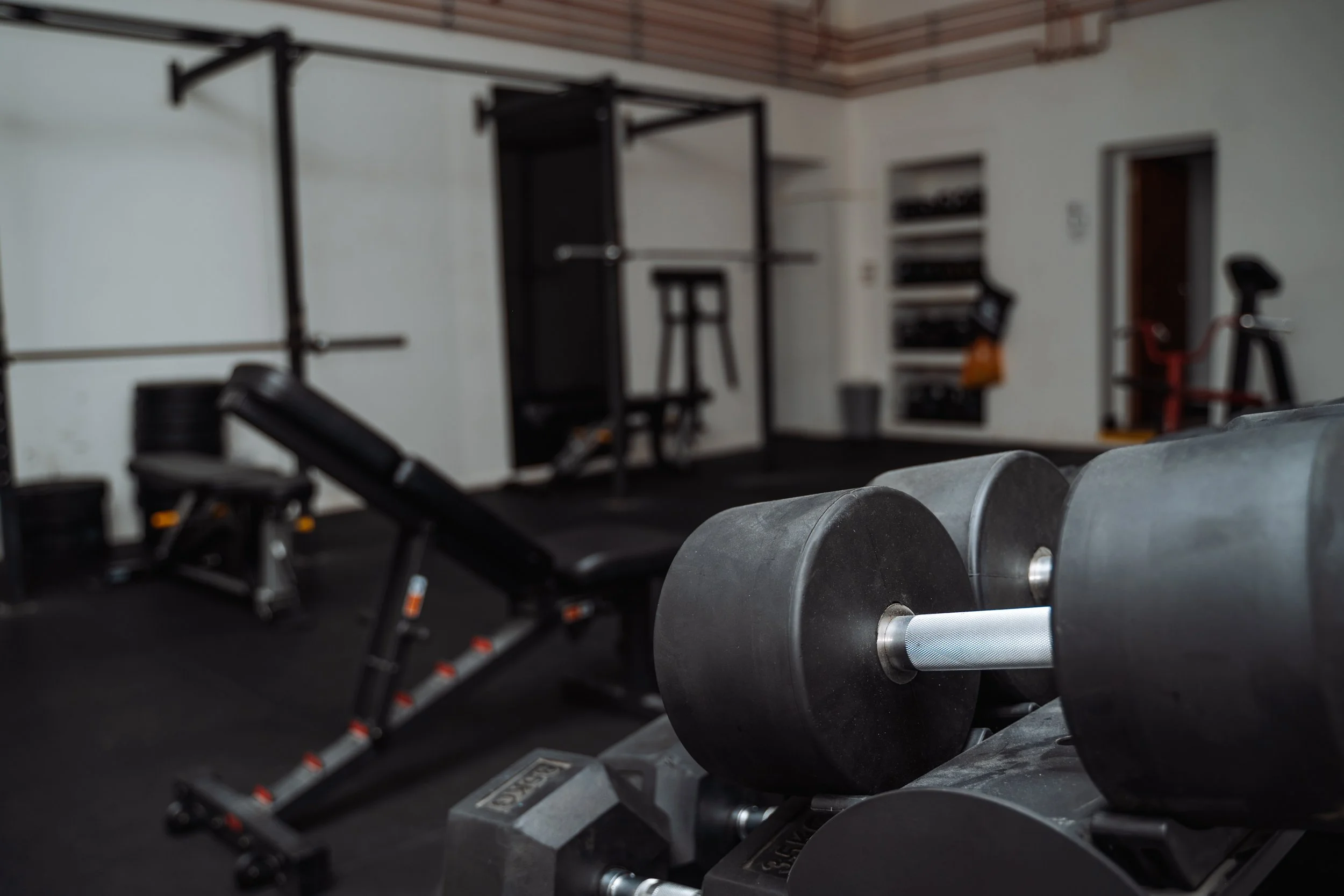 Free weights and strength training equipment at Pantheon Plymouth, including heavy dumbbells, benches and resistance training facilities for all fitness levels.