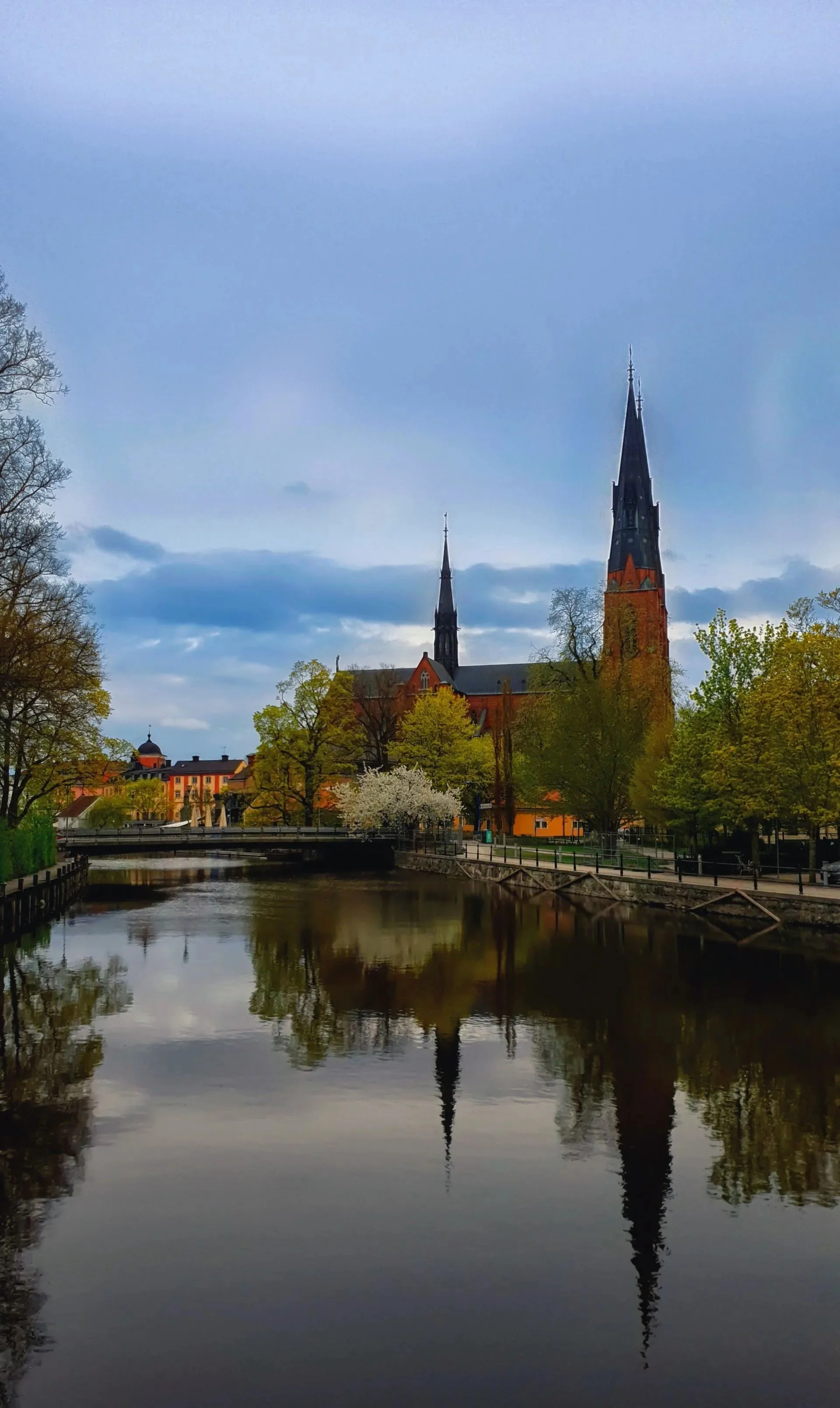 a6-reflex-meVV07NqObs-unsplash-1920w copy.jpg