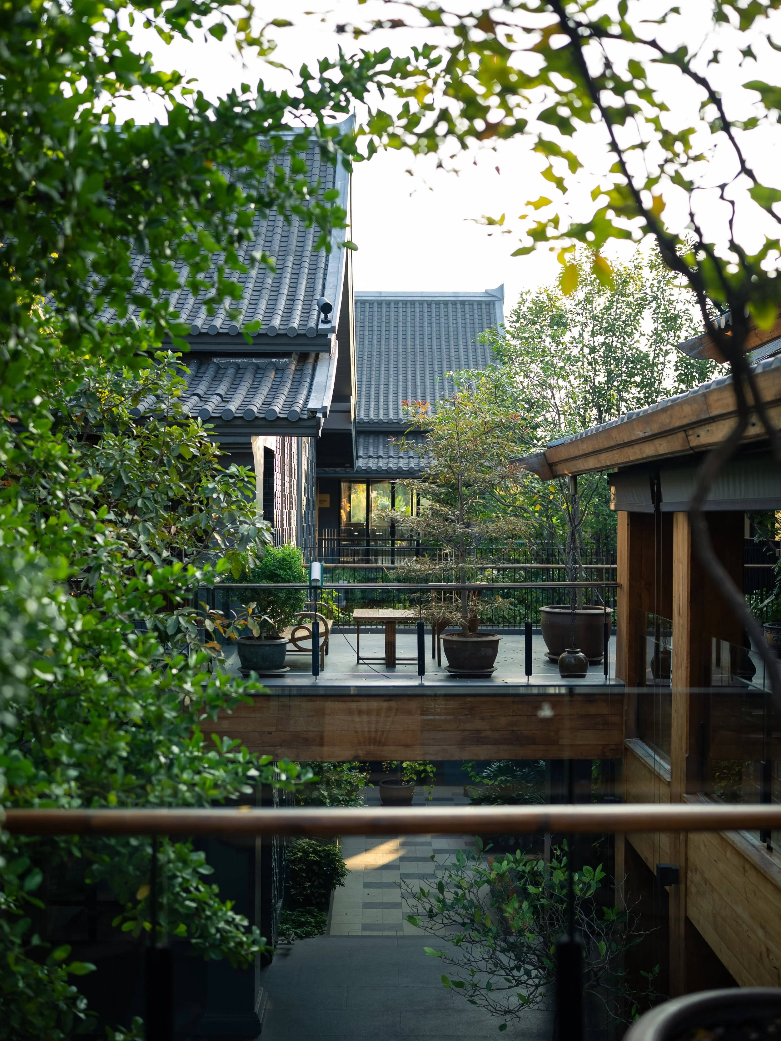The rainy season is just around the corner and our gardens are as lush as ever 🌳🍃