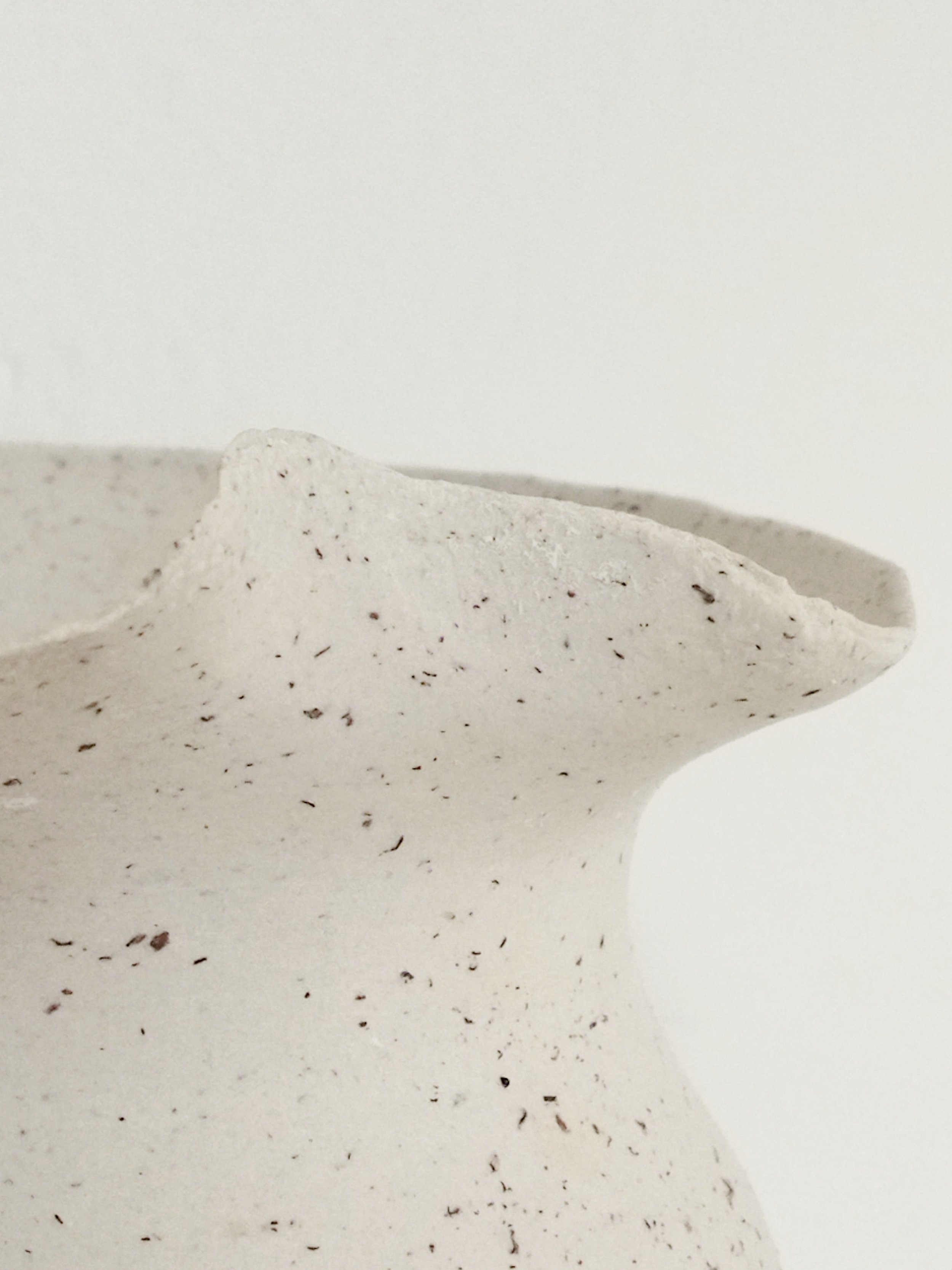 CALIZA_JARRON_PORCELANA_BUDY_DETALLE.jpg