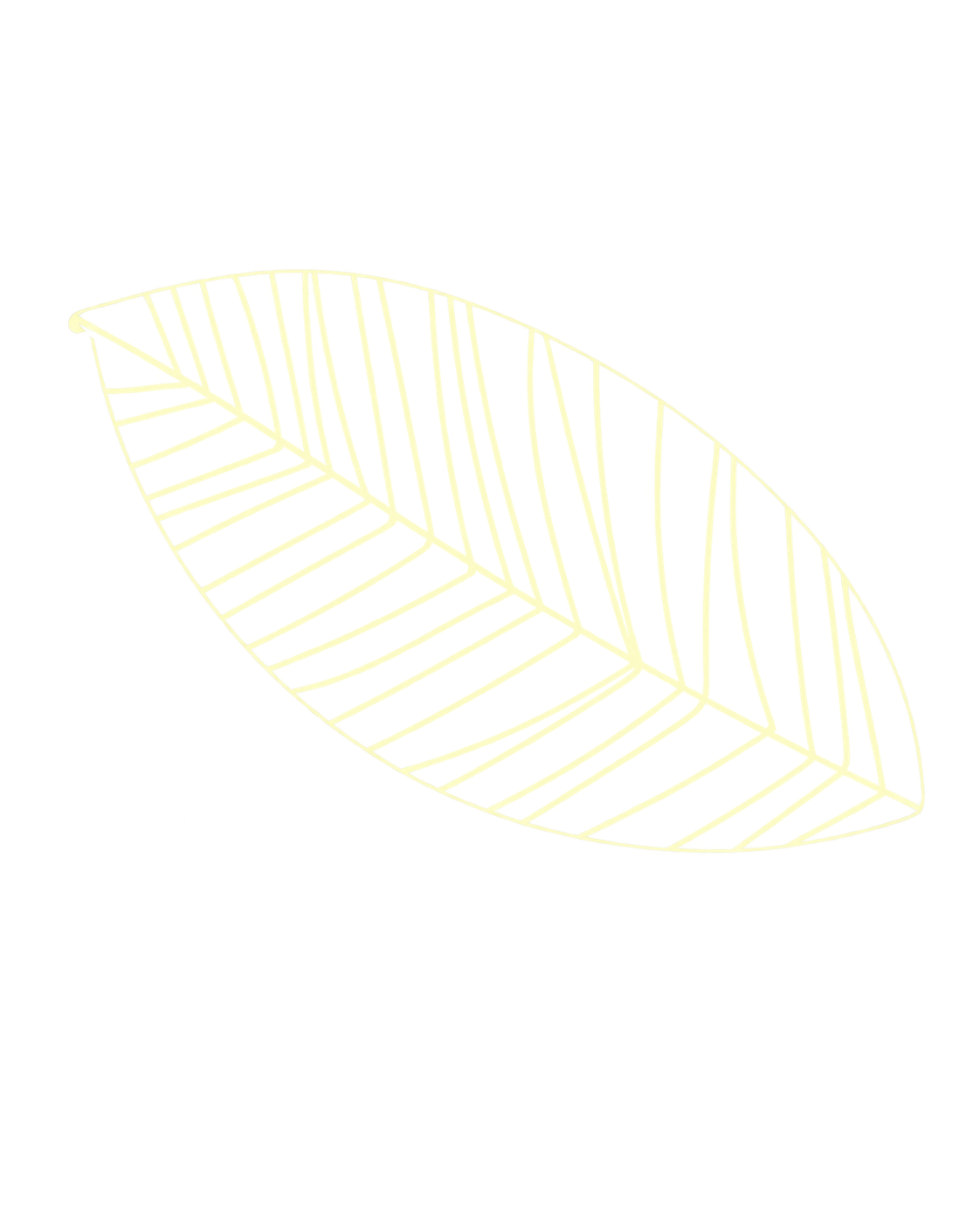 Scheletro di foglia stilizzato, disegnato con linee sottili e colore chiaro, su sfondo nero.