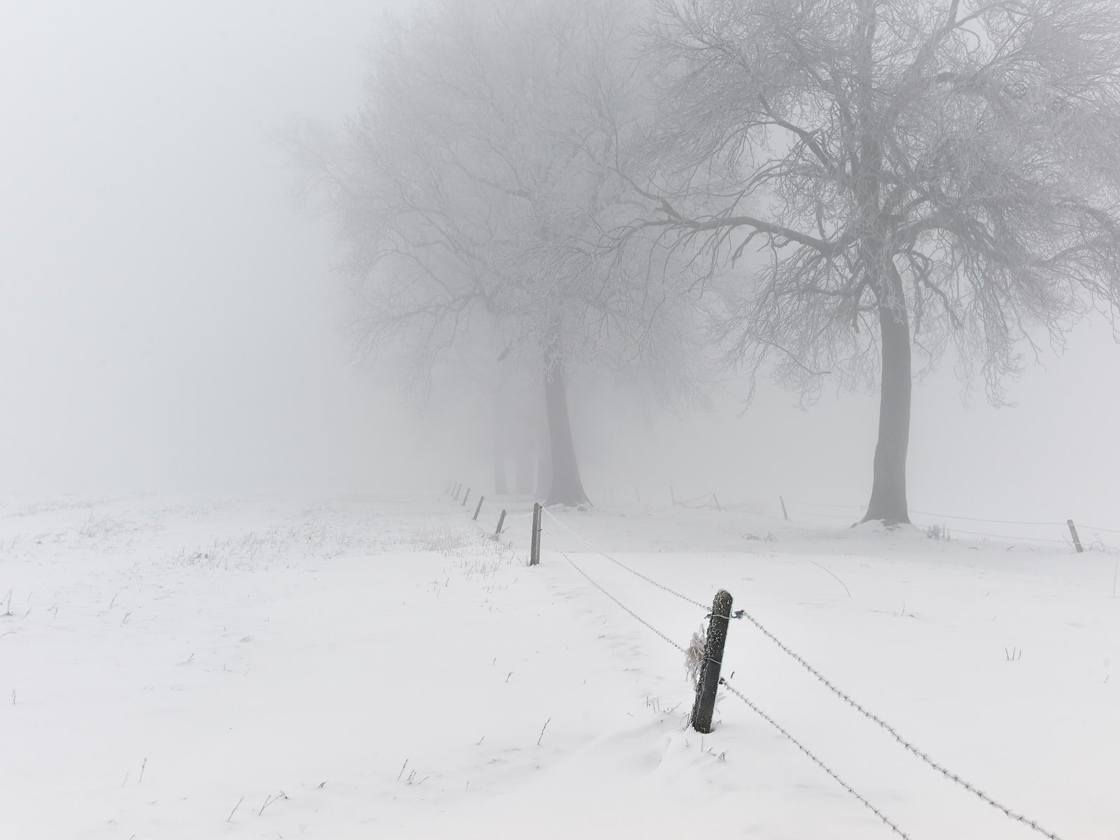 pascallienard-Horizons-Silences-12.jpg