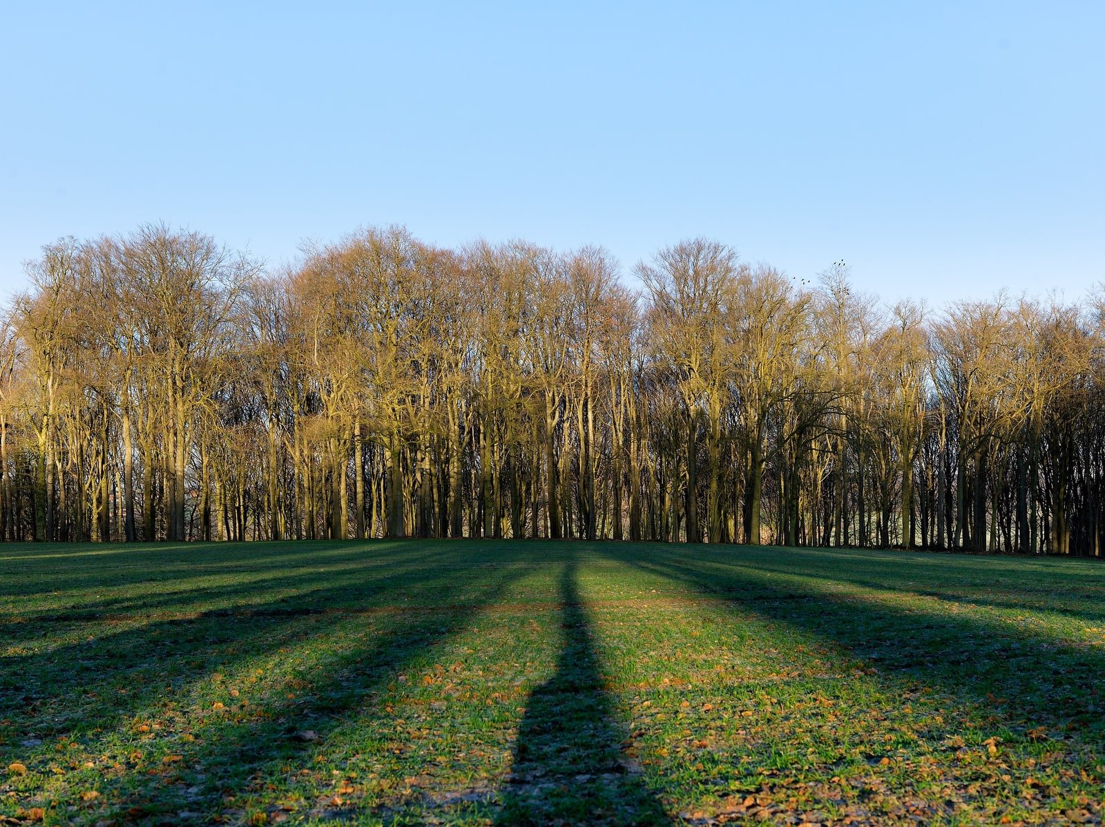 pascallienard-Horizons-Silences-9.jpg