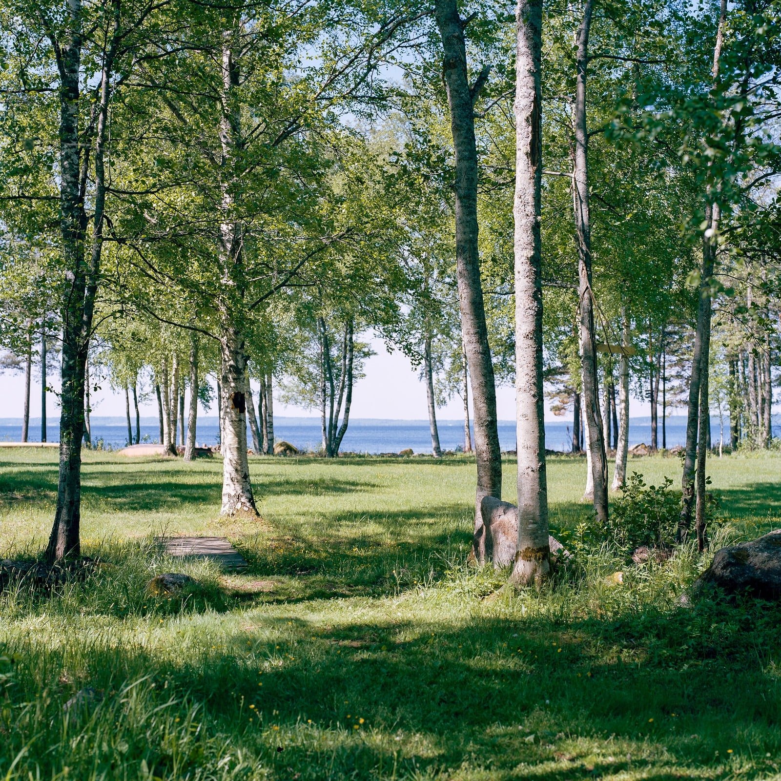 pascallienard-Horizons-Silences-8.jpg