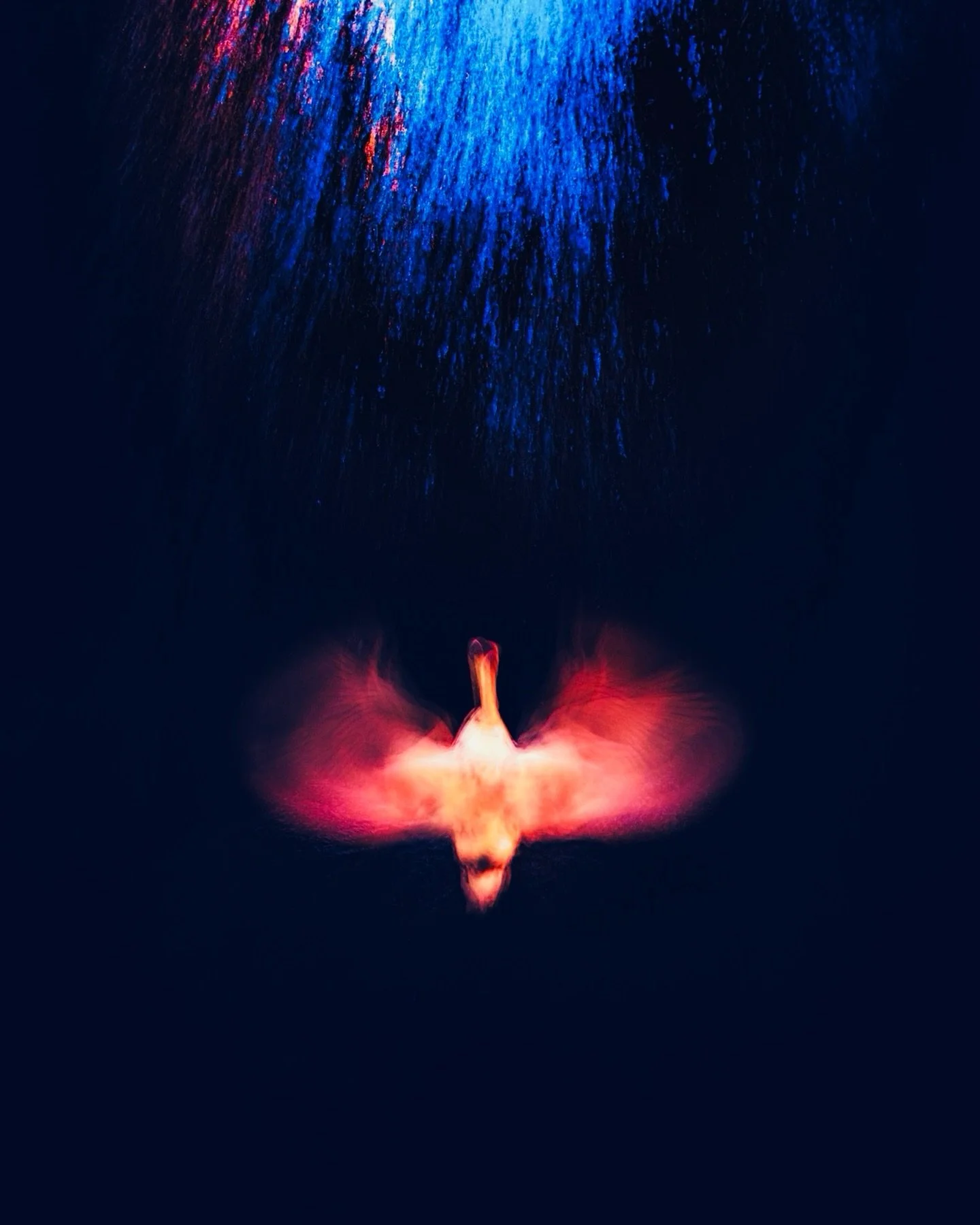 An abstract of a Swan flapping and swimming in a flowing river.

This was an experiment, so not sure about this one, but kinda liked the way it turned out.