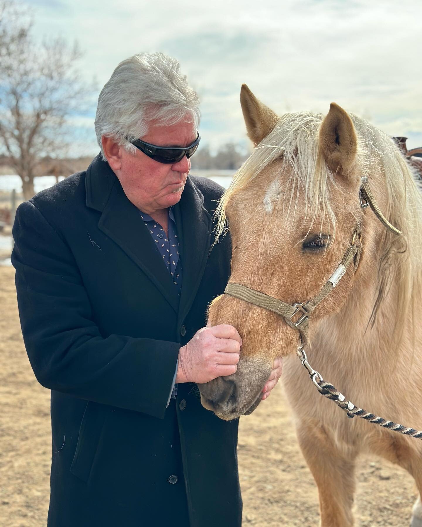 The beauty of Cherry Creek State Park.

#wednesdayvibes 
#horsesofinstagram 
#cherrycreekstatepark