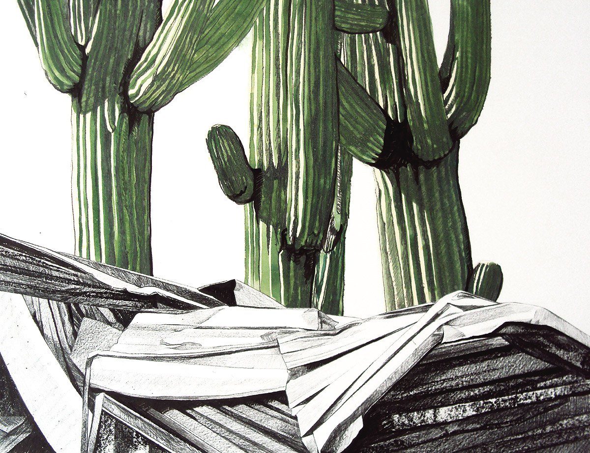 Saguaro