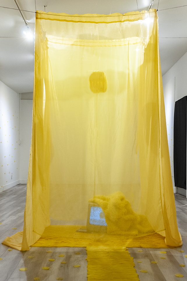  Is this | This is…   Multimedia installation: yellow curtains, old television, copy of Native Speaker by Chang Rae Lee, wig, 20 packs of rectangle dan moo ji,  5 packs of circle dan moo ji, print, shag rug, scrabble letters.   120” x 240” x 240”  In