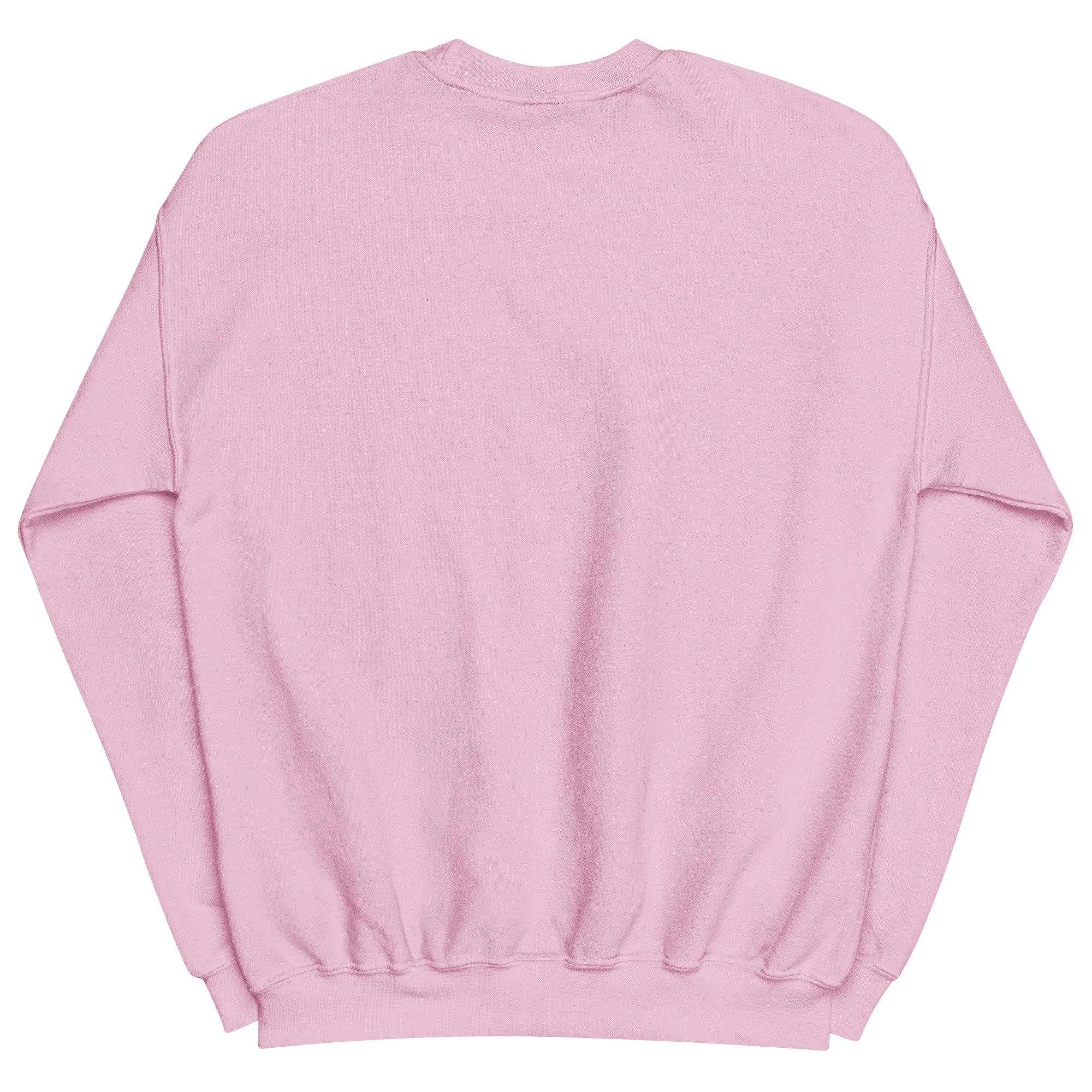 Fund the Future You Want Sweatshirt