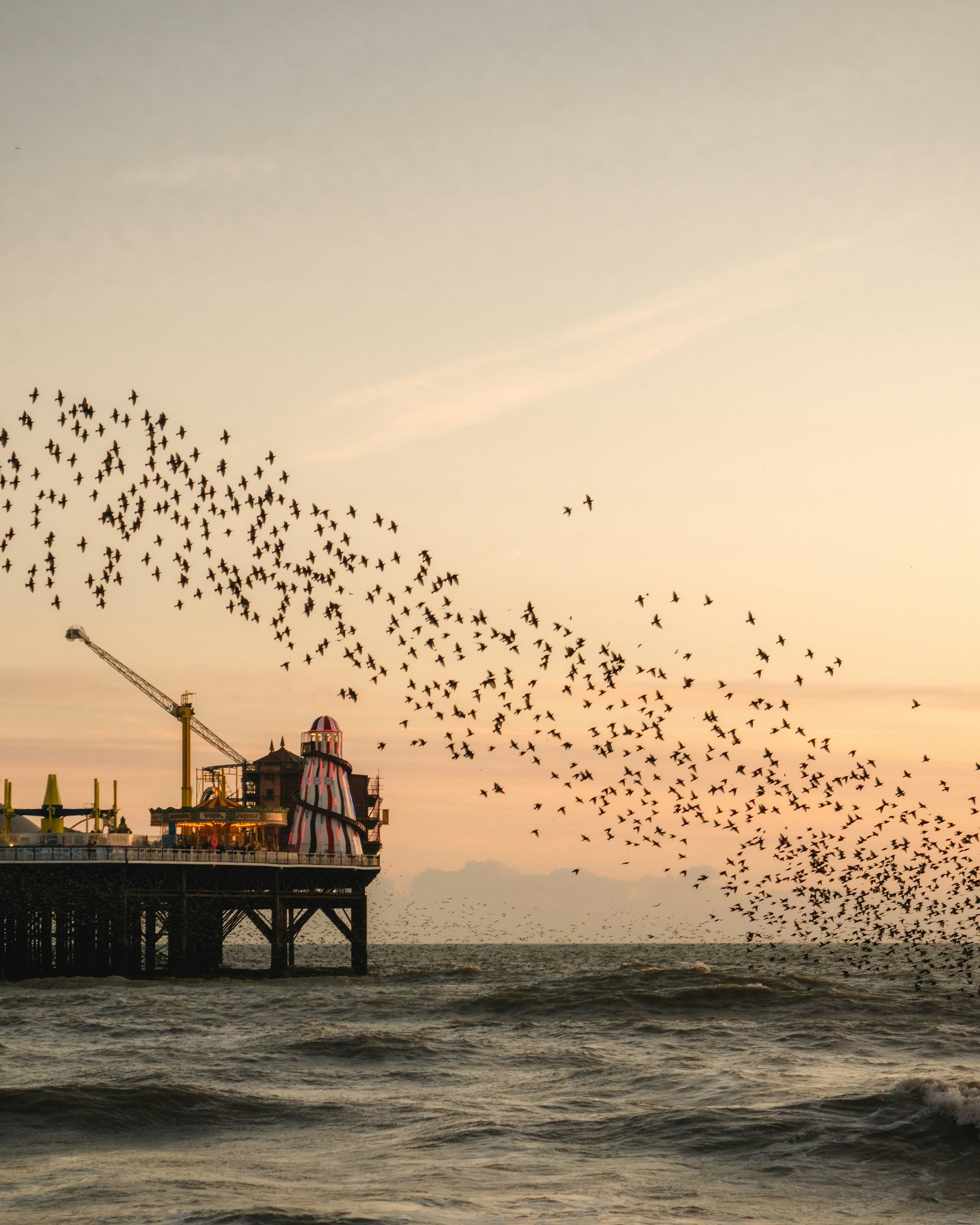 Maria Pareo, somatic counsellor and relational therapist in Brighton.