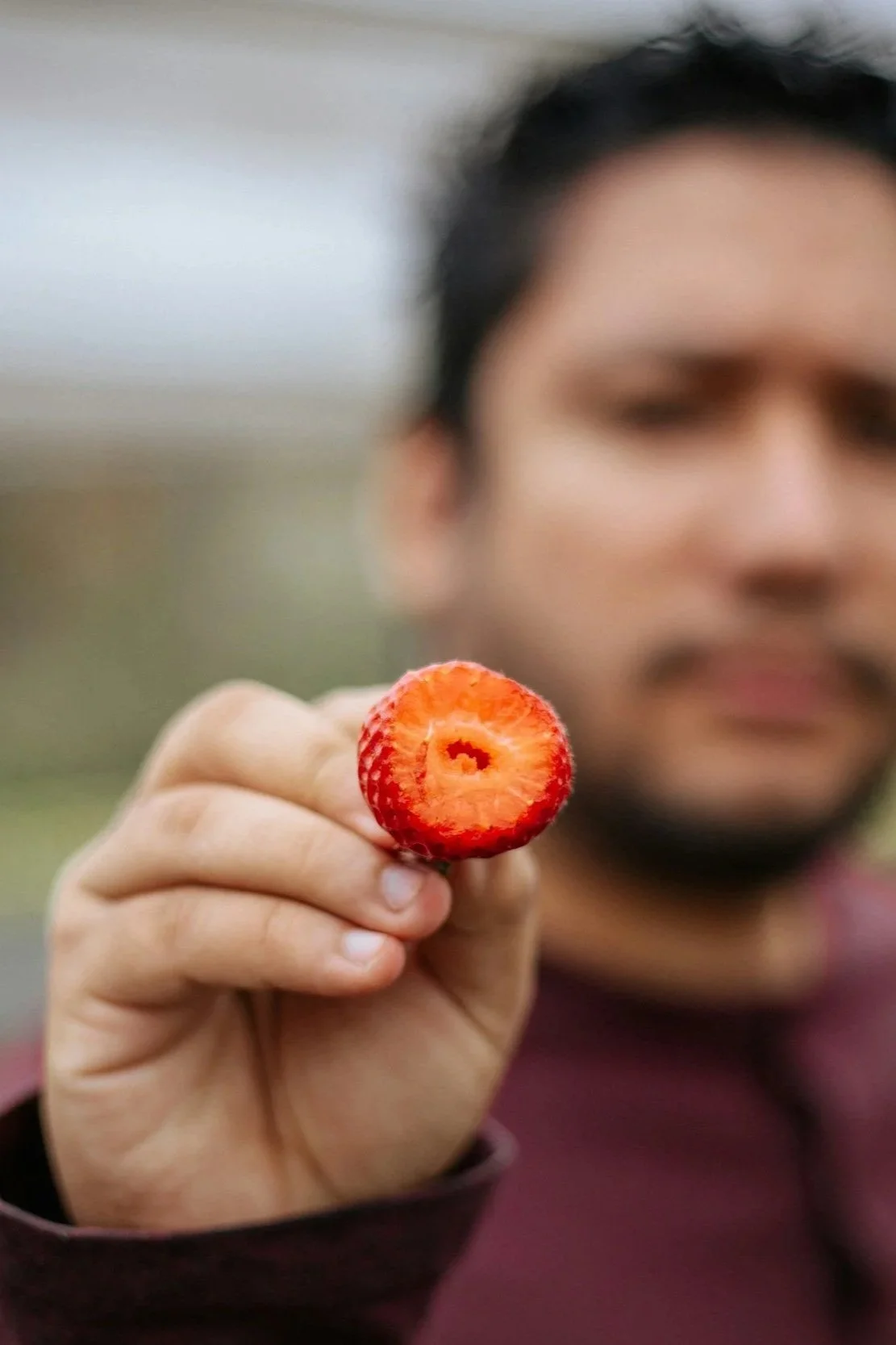 omatic therapy supporting emotional integration