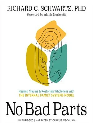 Cover of the book "No Bad Parts" by Richard C. Schwartz, PhD. It features an abstract illustration of a figure in earth tones. The subtitle reads, "Healing Trauma & Restoring Wholeness with The Internal Family Systems Model." Foreword by Alanis Morissette, narrated by Charlie Mechling.
