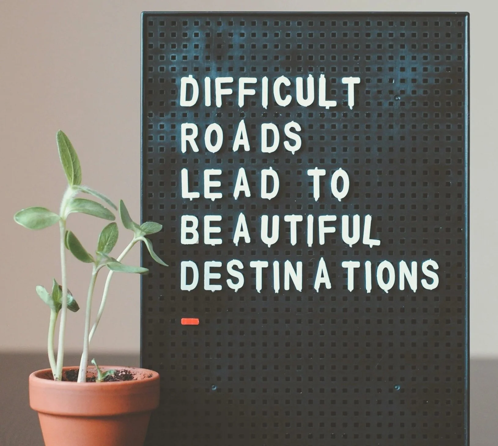 post traumatic growth somatic therapy Brighton & Hove