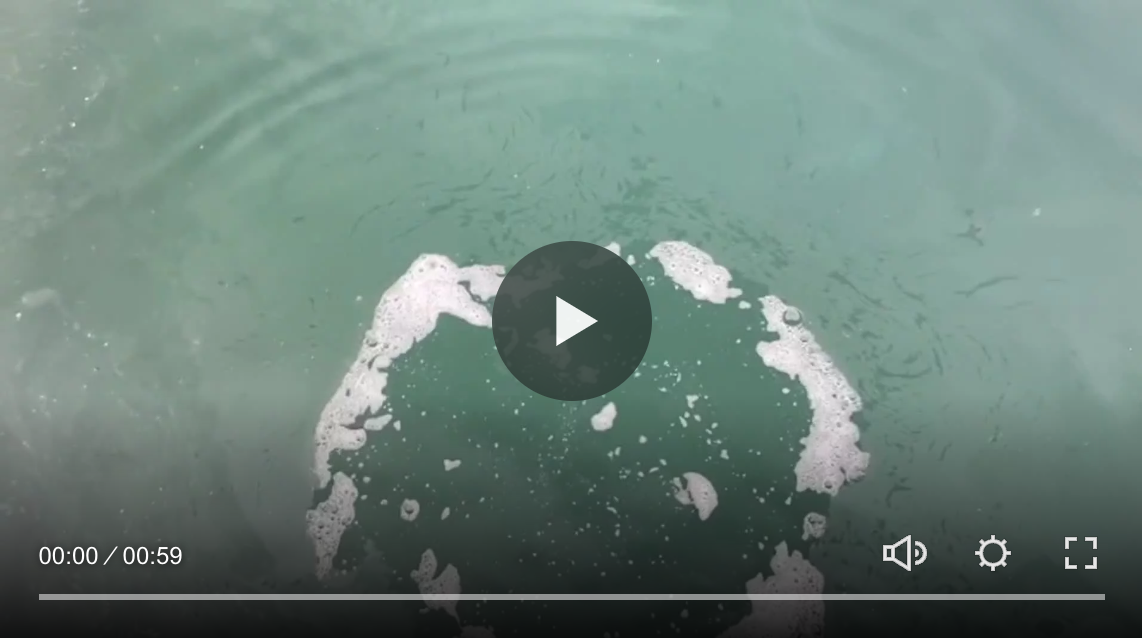 Video: Bacteria break down hydrocarbons in a port.