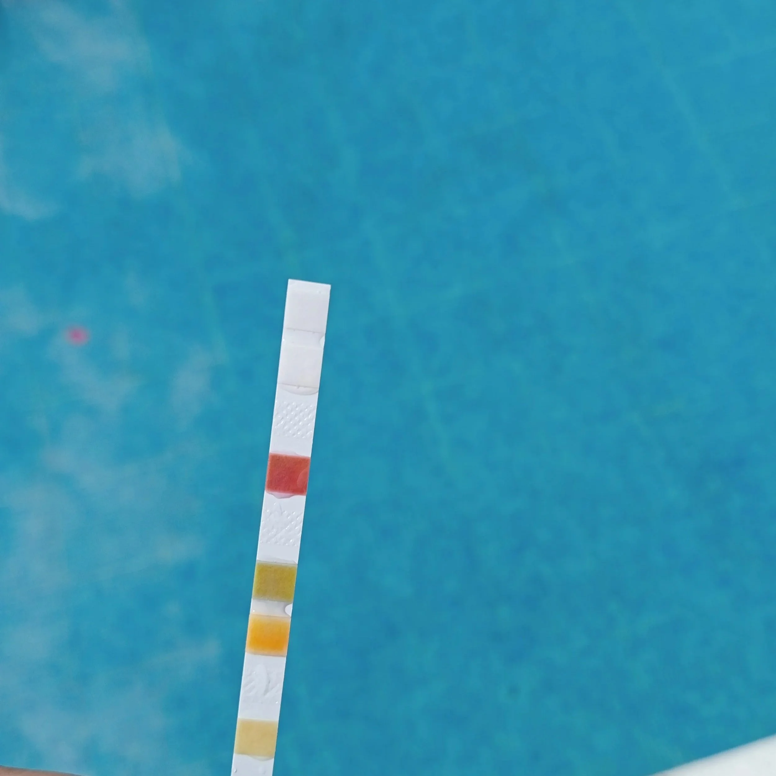 Best water quality on the island