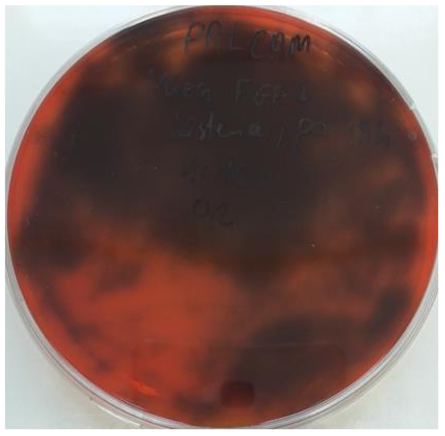 Listeria 2