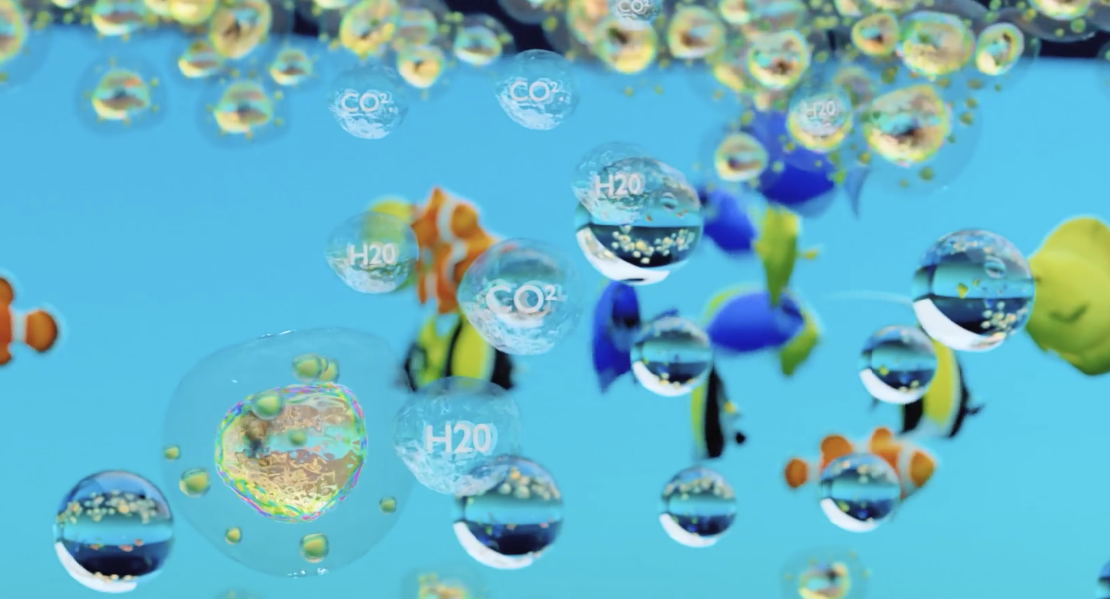 Image showcasing Microbial Support — Microbial Relations