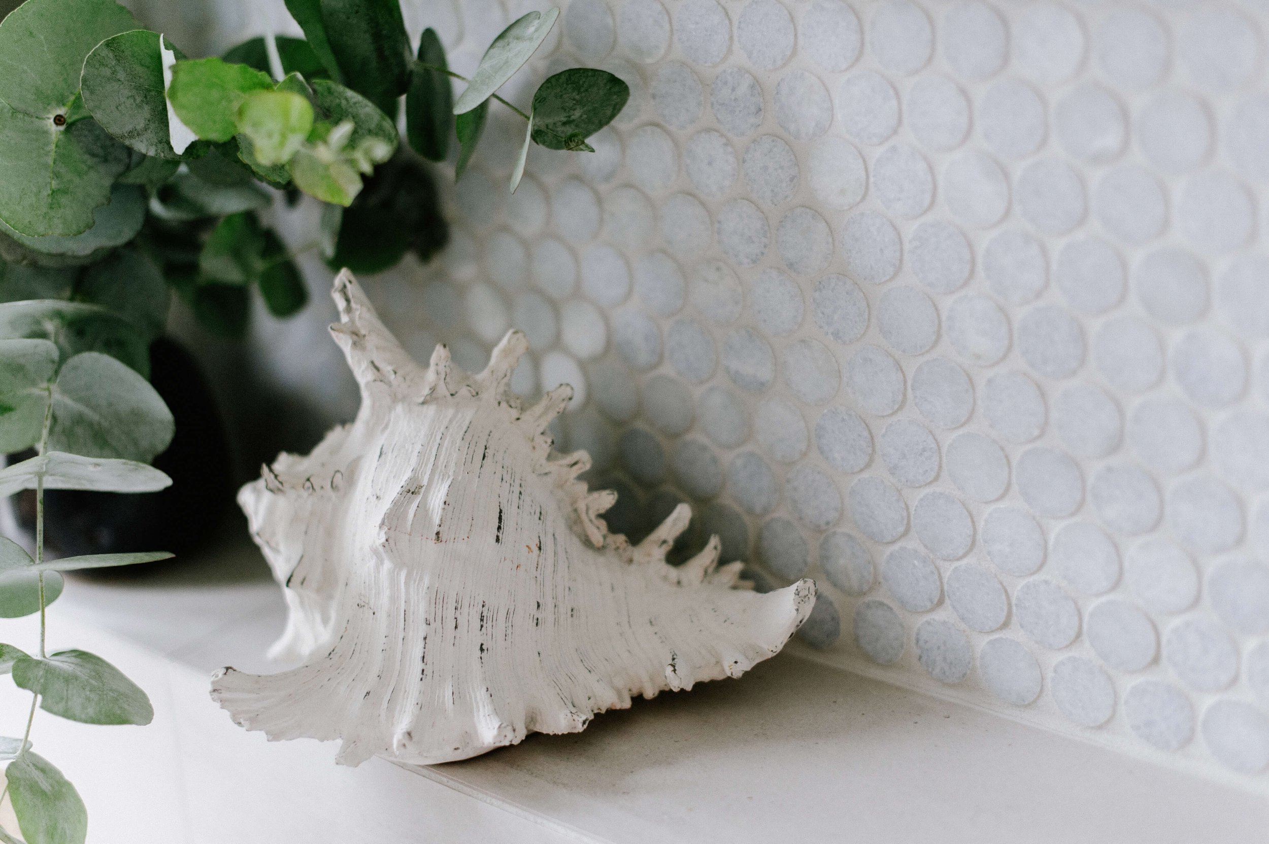 Interior Design Coastal bathroom styling feature tile