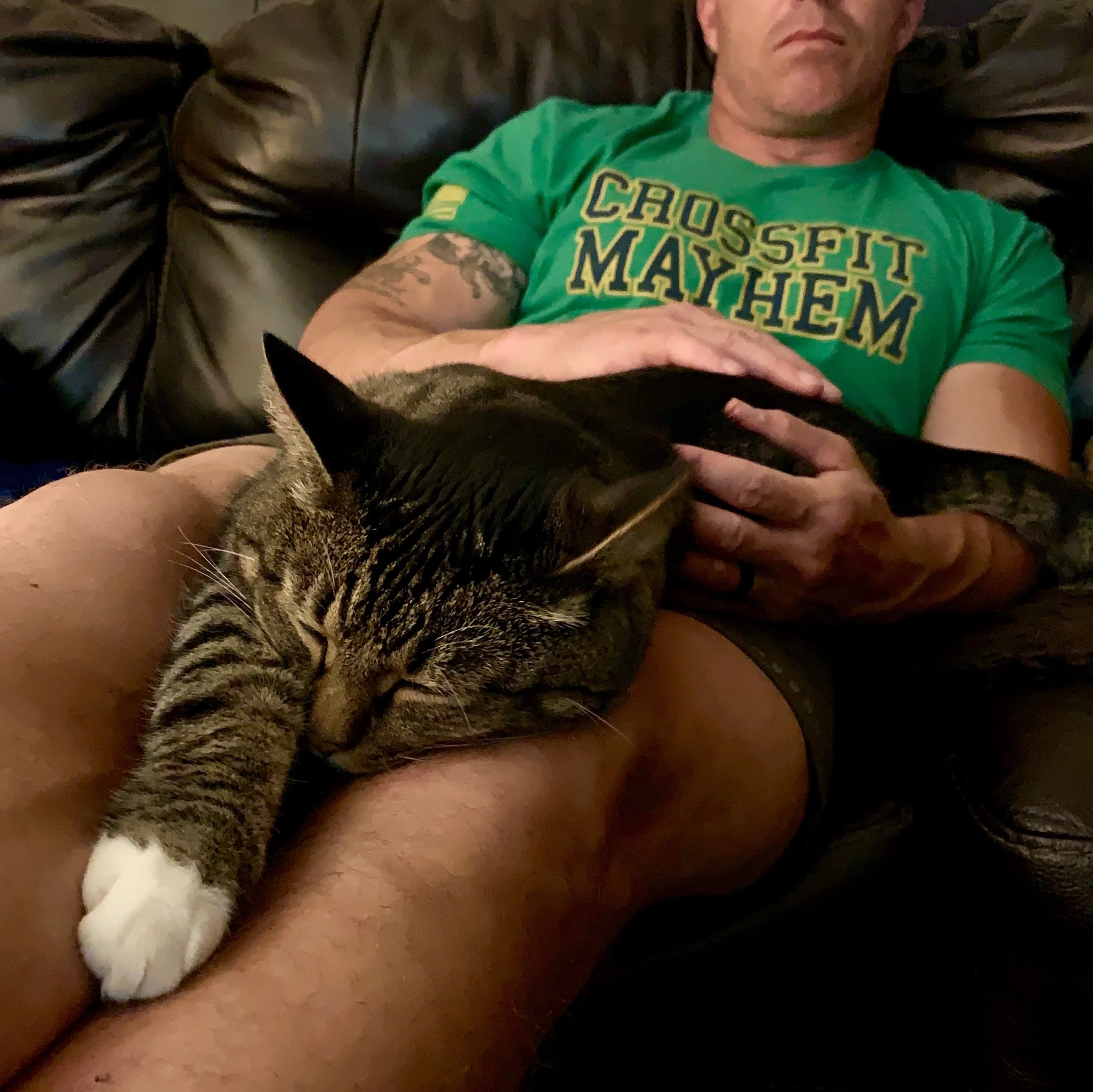 Life Lessons From A Stray Cat