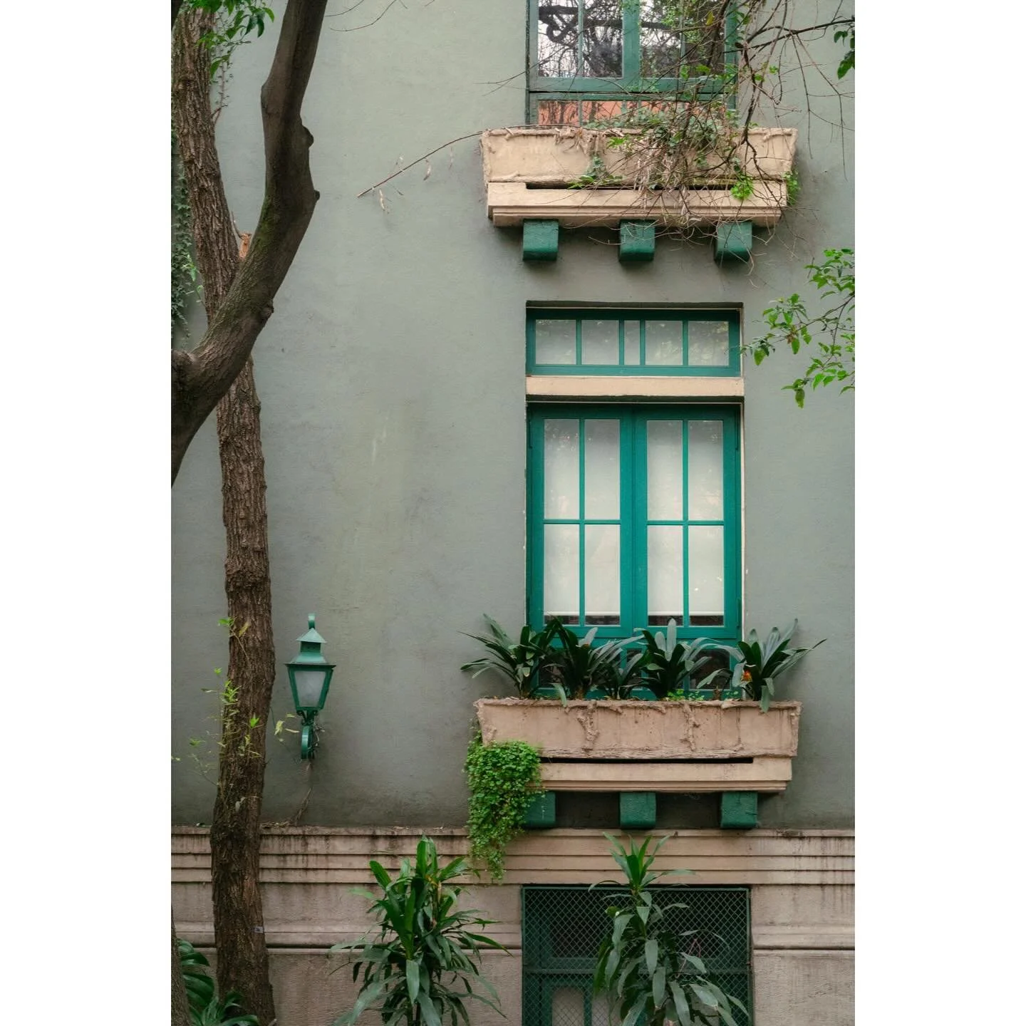 Around CDMX.
.
.
.
#cdmxstreetphotography 
#streetphotography 
#sonyrx100