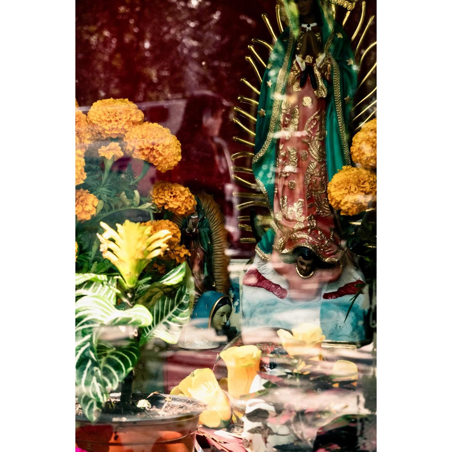 CDMX scenes.
.
.
.
#sonyrx100
#cdmxphotography 
#abstractphotography