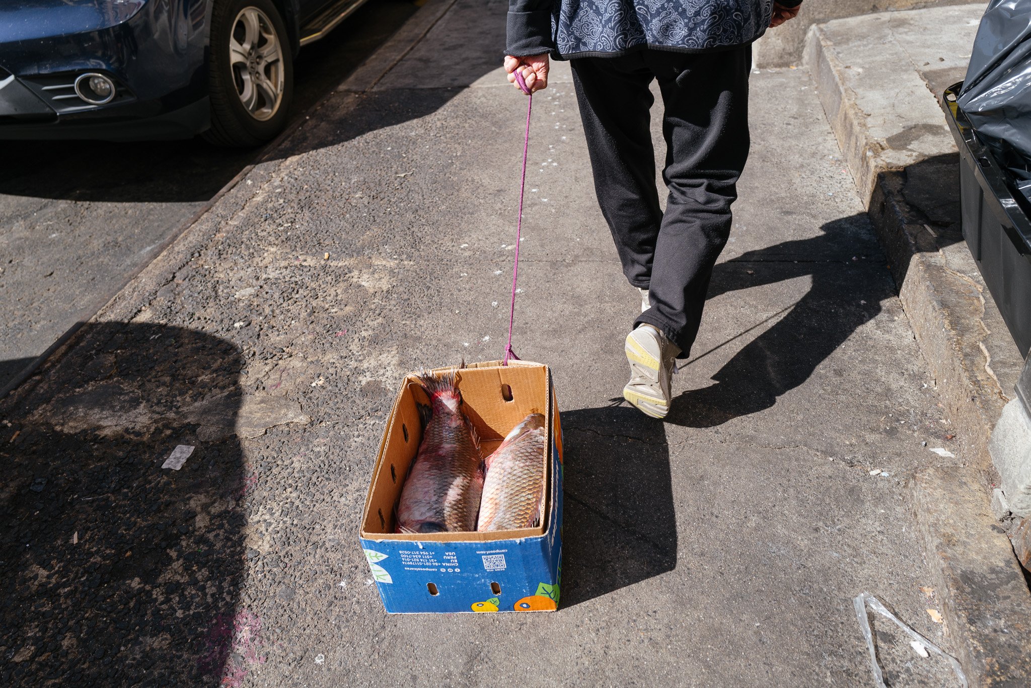 Why I’m Creating a Street Photography Project About Chinatowns