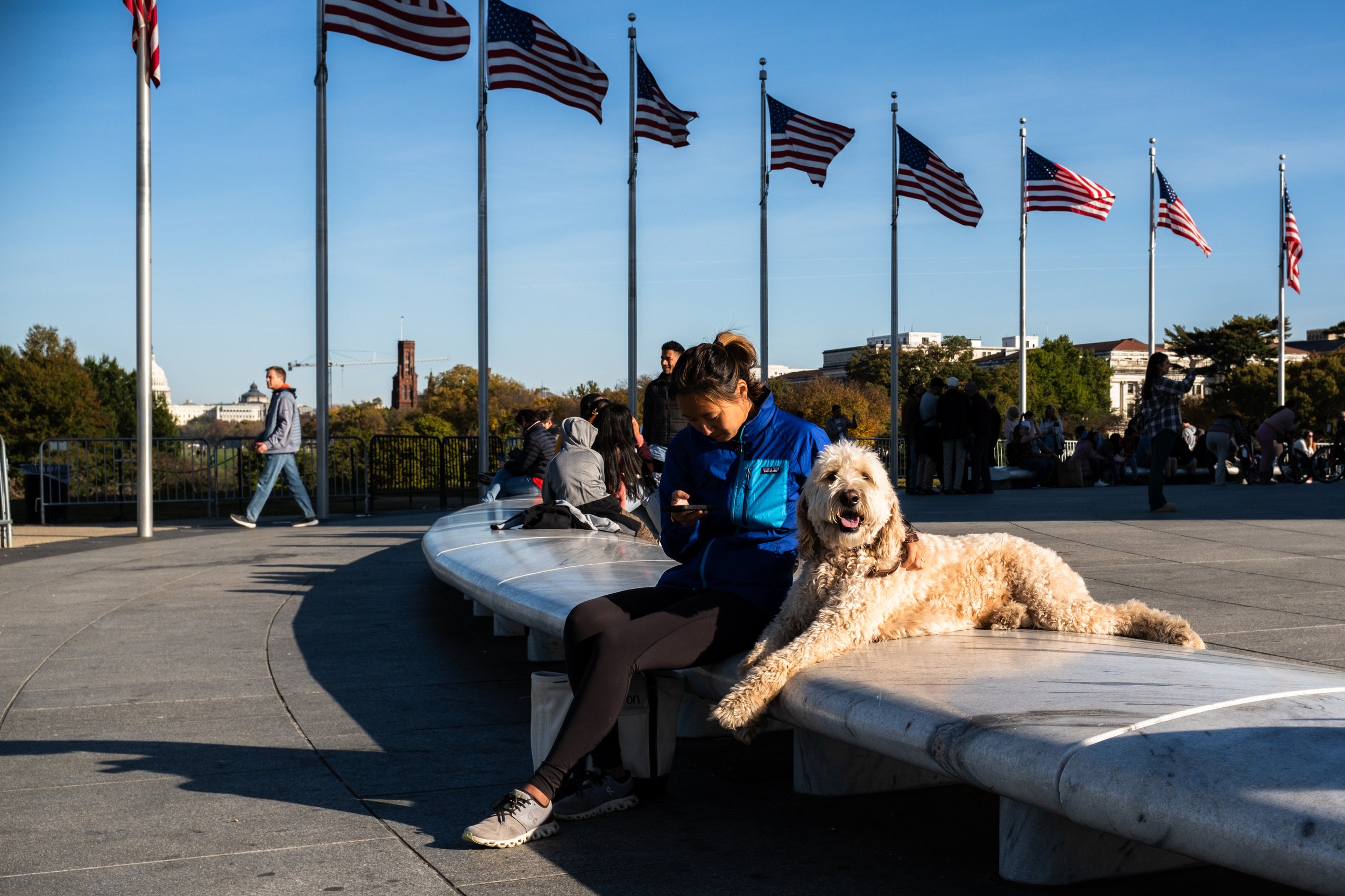 Street photography in Washington, D.C.