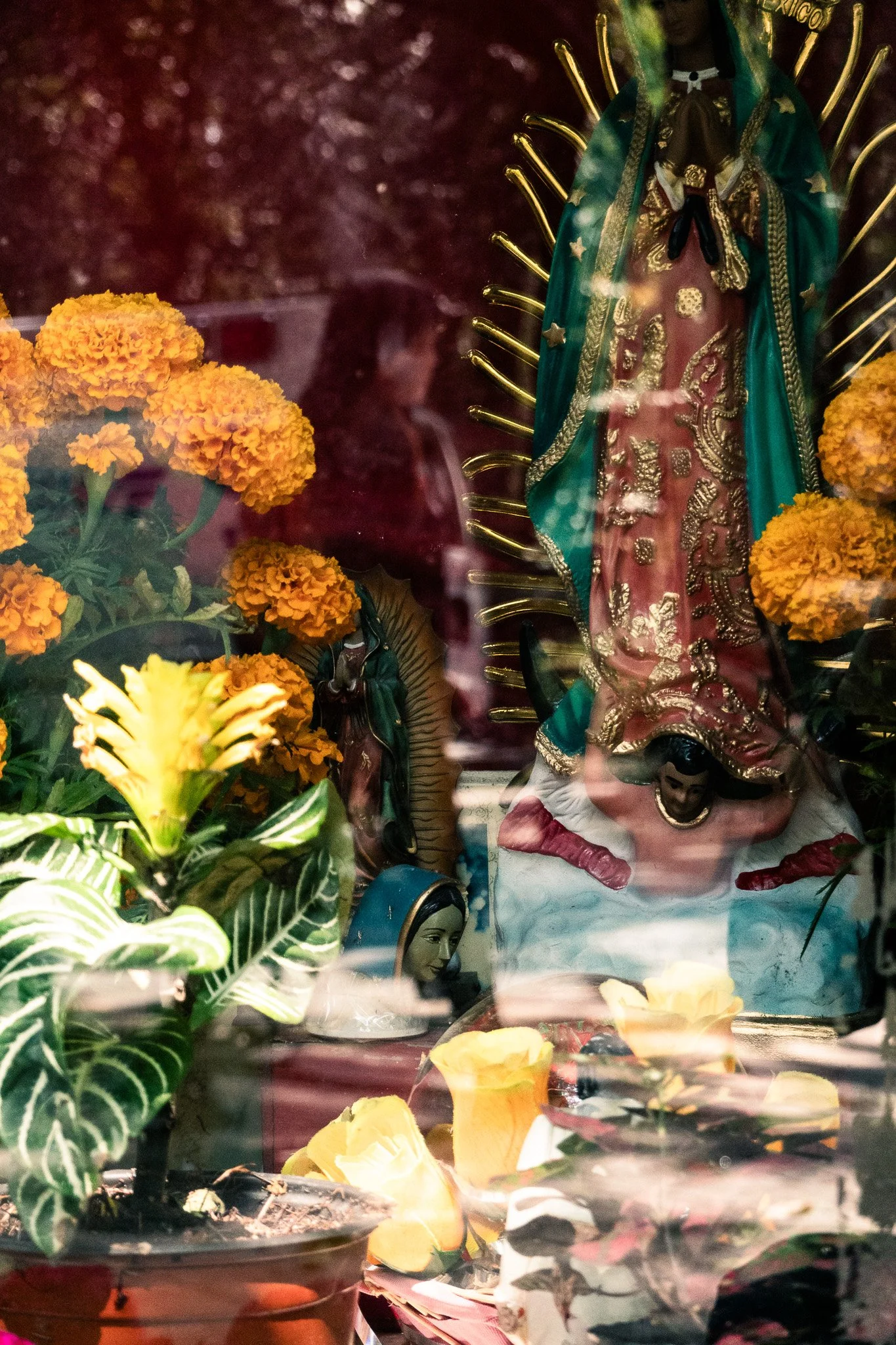 Abstract street photo of religious shrine with a statue of the Virgin Mary dressed in ornate clothing, surrounded by marigold and other flowers, and layered with candles and plants.