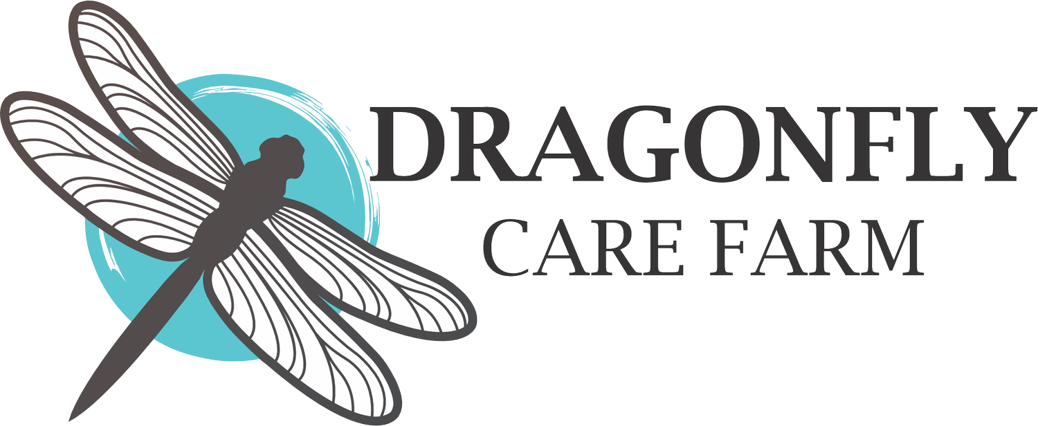 Dragonfly Care Farm