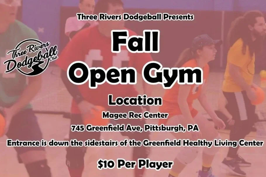 3RDC No Sting Open Gym and SKills Clinic