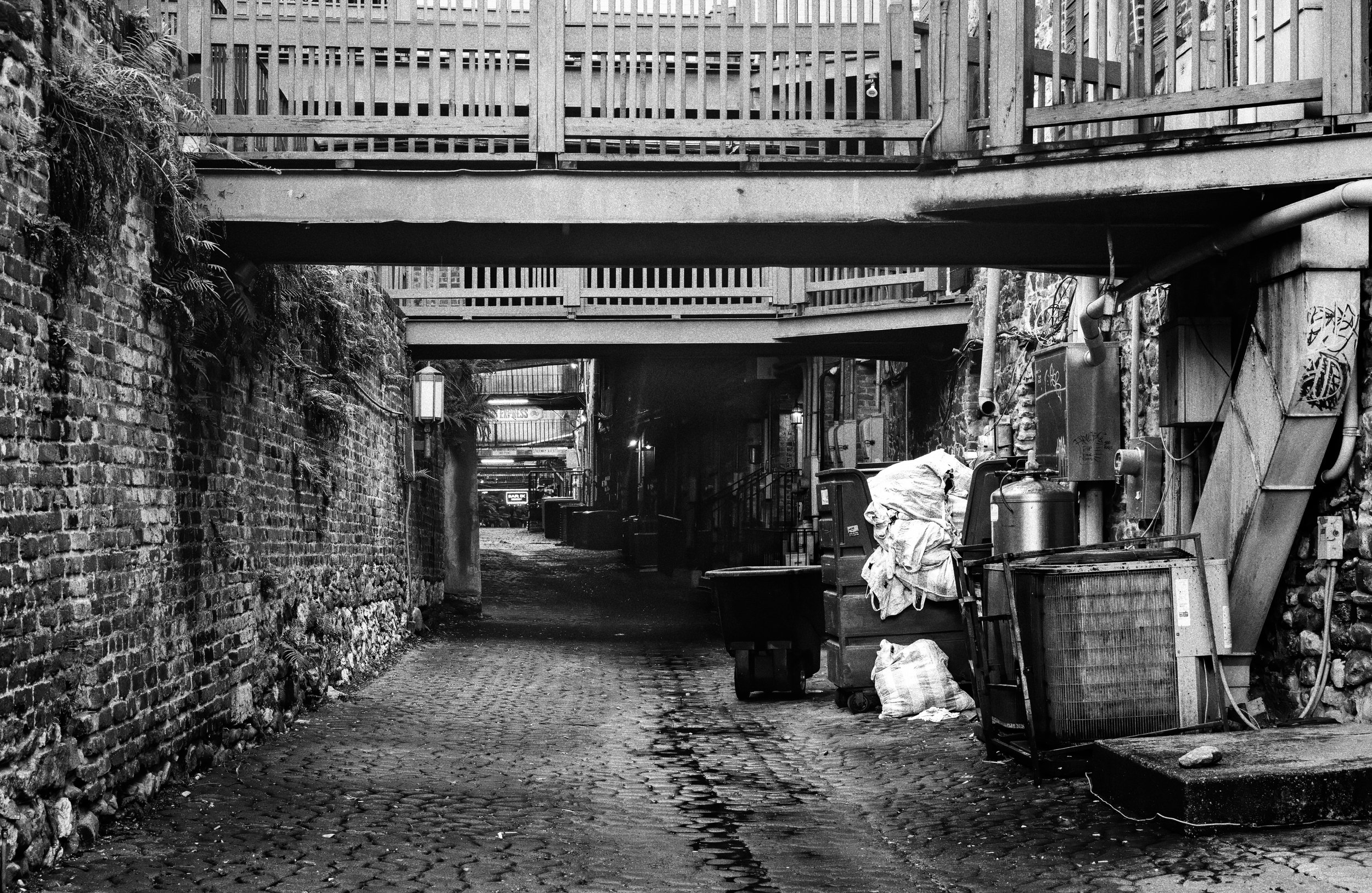 Savannah Alley