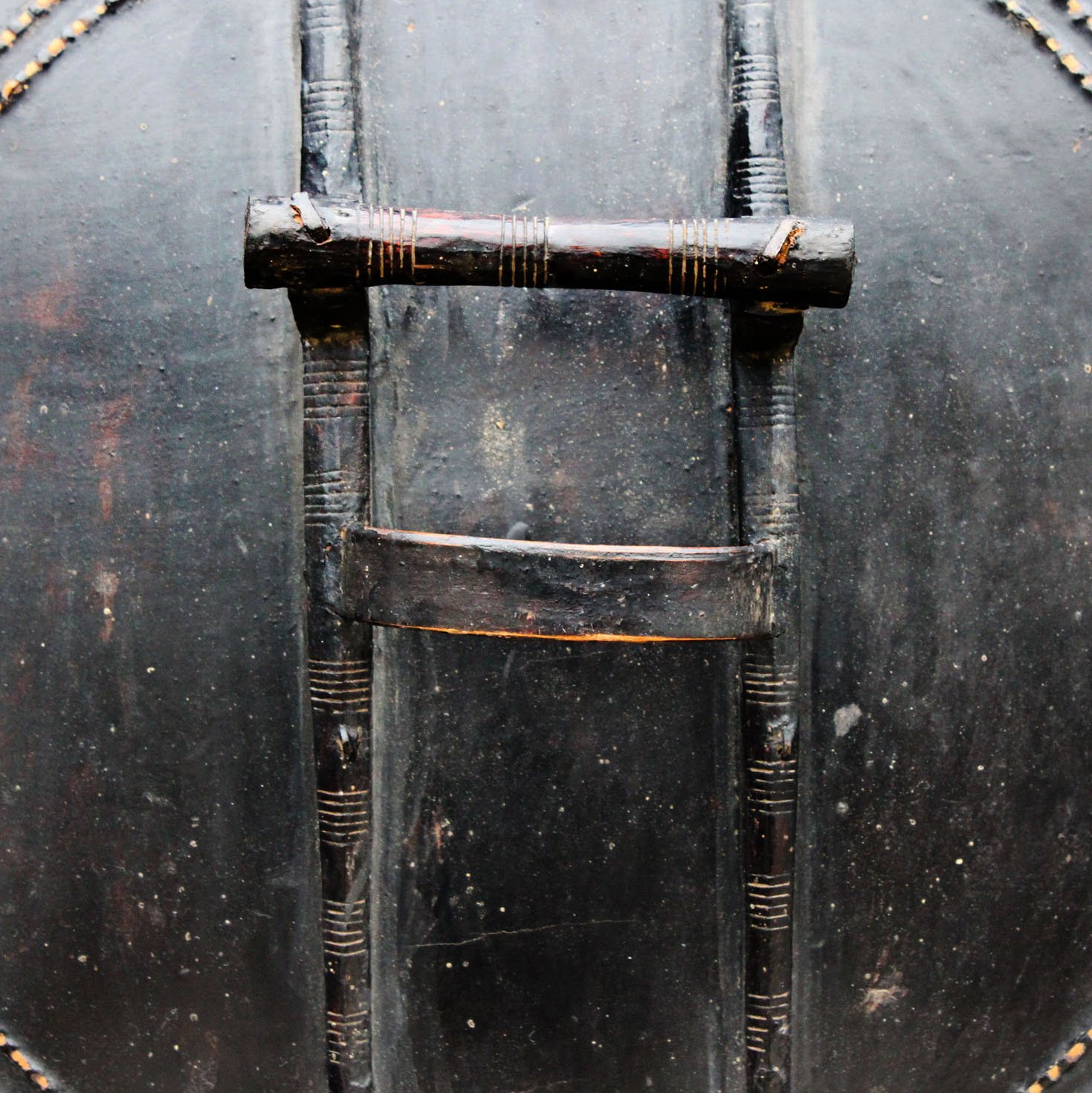 cdvs1-shield-e.JPG