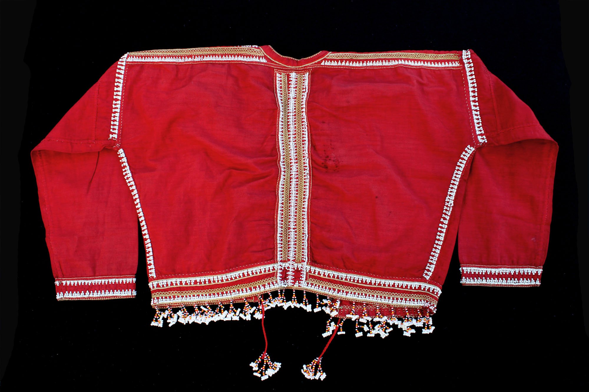 apj2-jacket-b.JPG