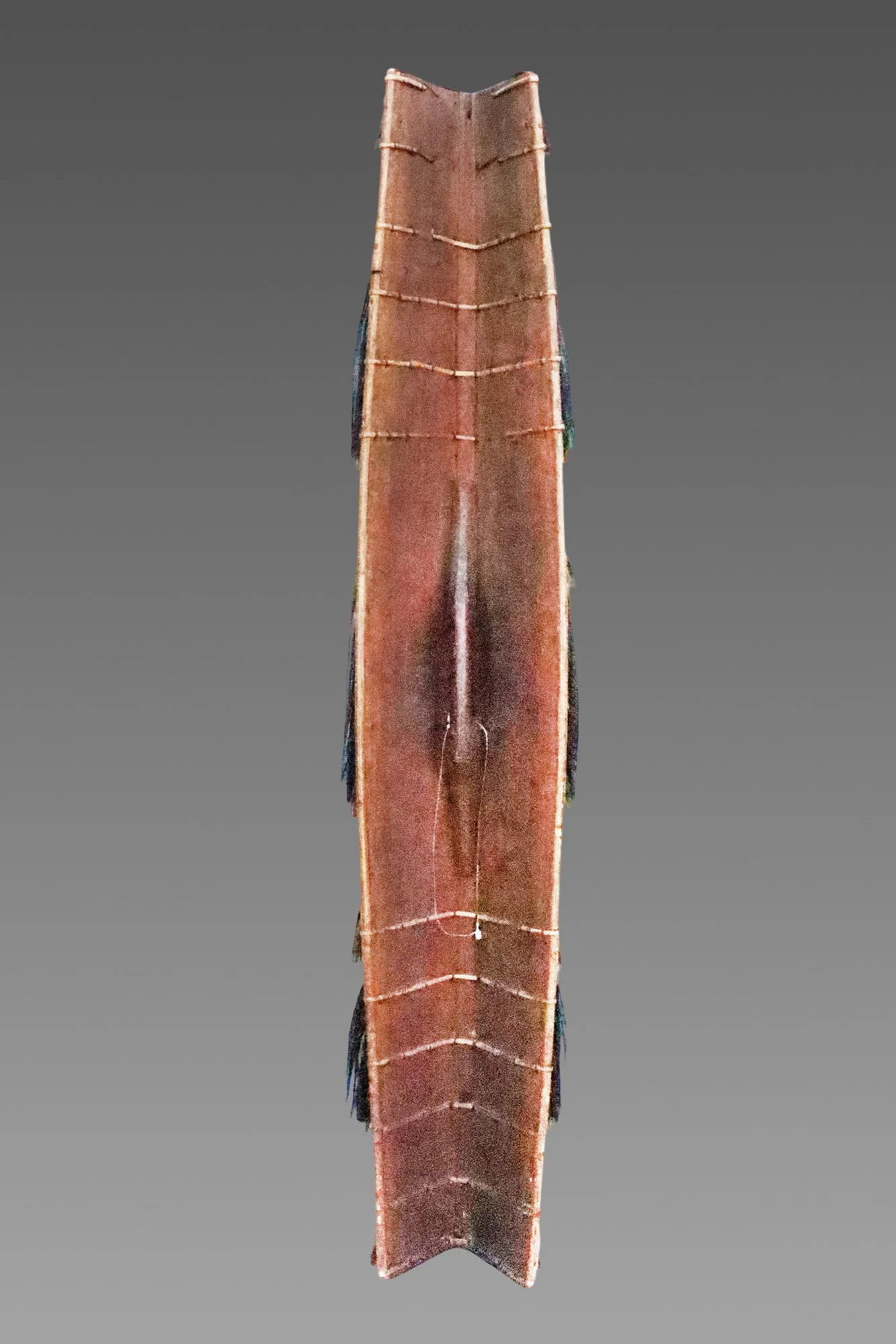 ts1-shield-c.JPG