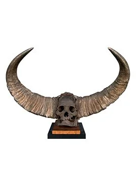 Trophy Skull