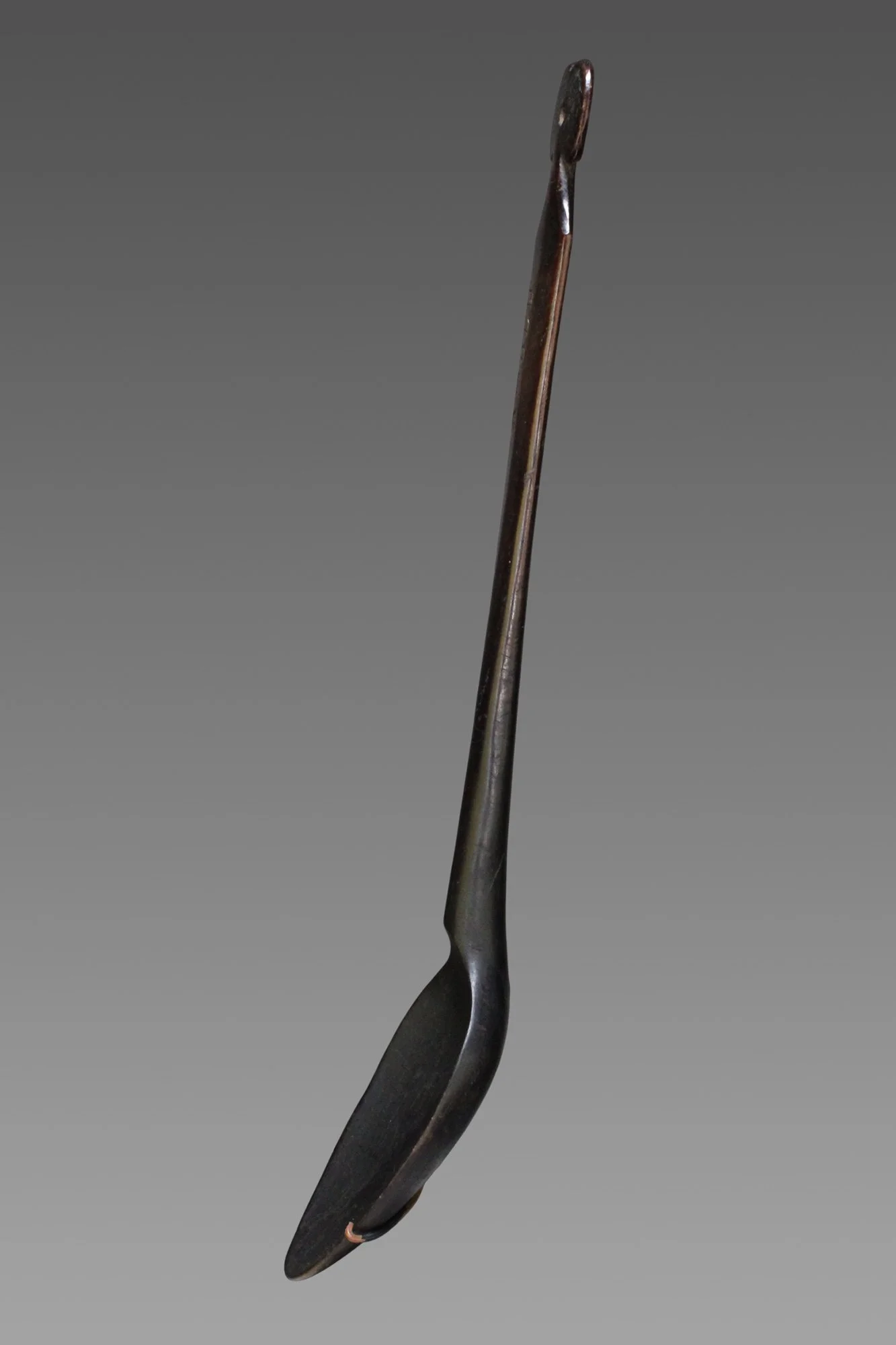 dfps2-spoon-c.JPG