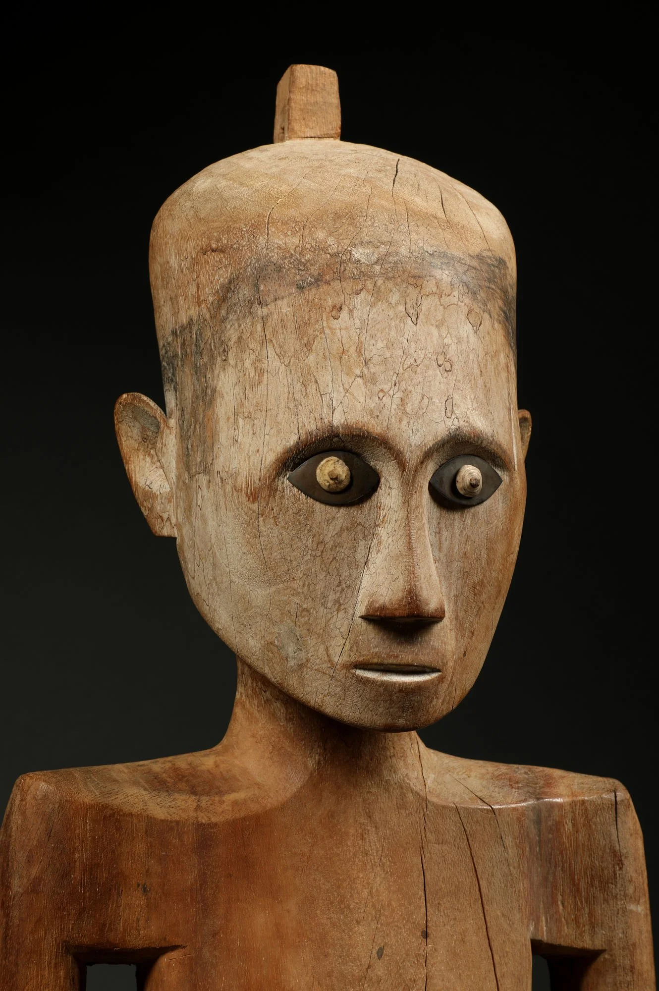3963-tautau-g.jpg