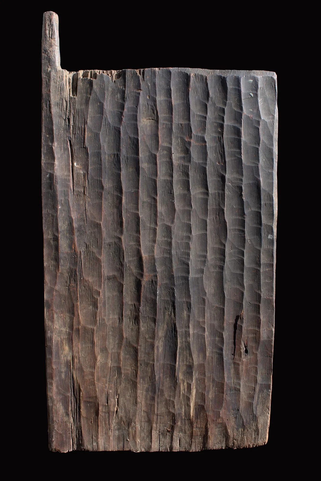 bjpp3-panel-c.JPG