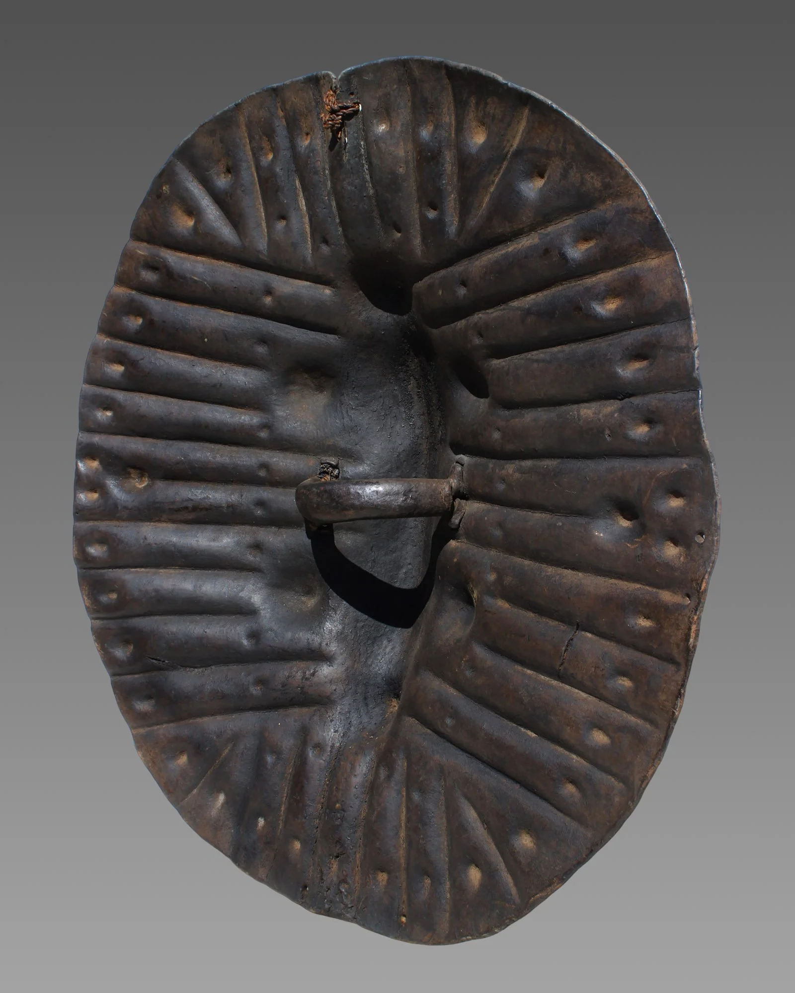 4815-shield-d.JPG