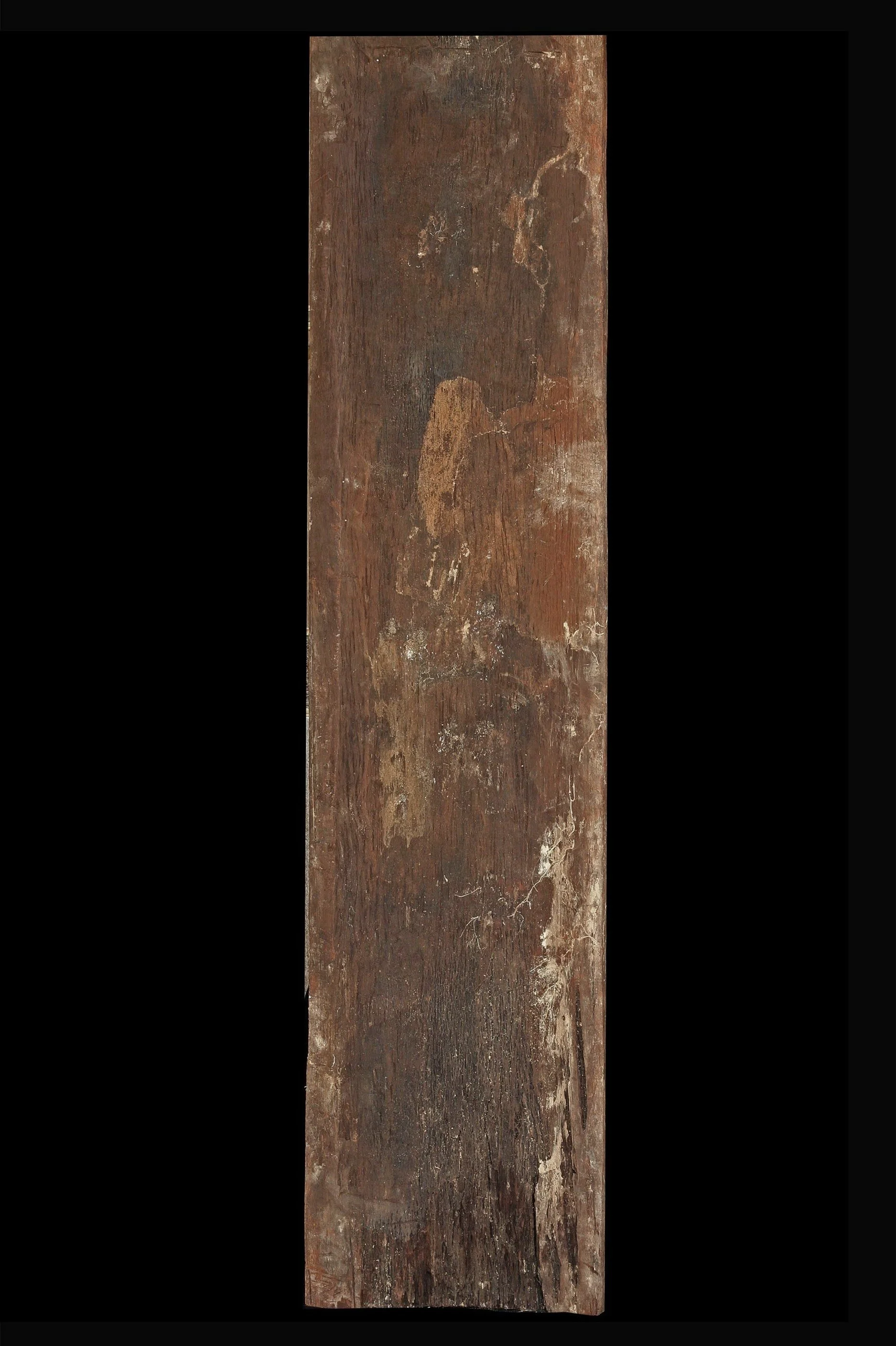 4130-lid-c.jpg
