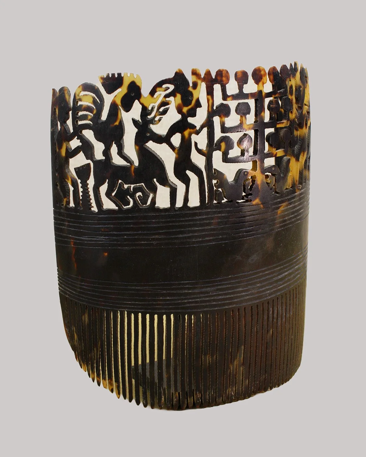 fjsc19-comb-b.JPG