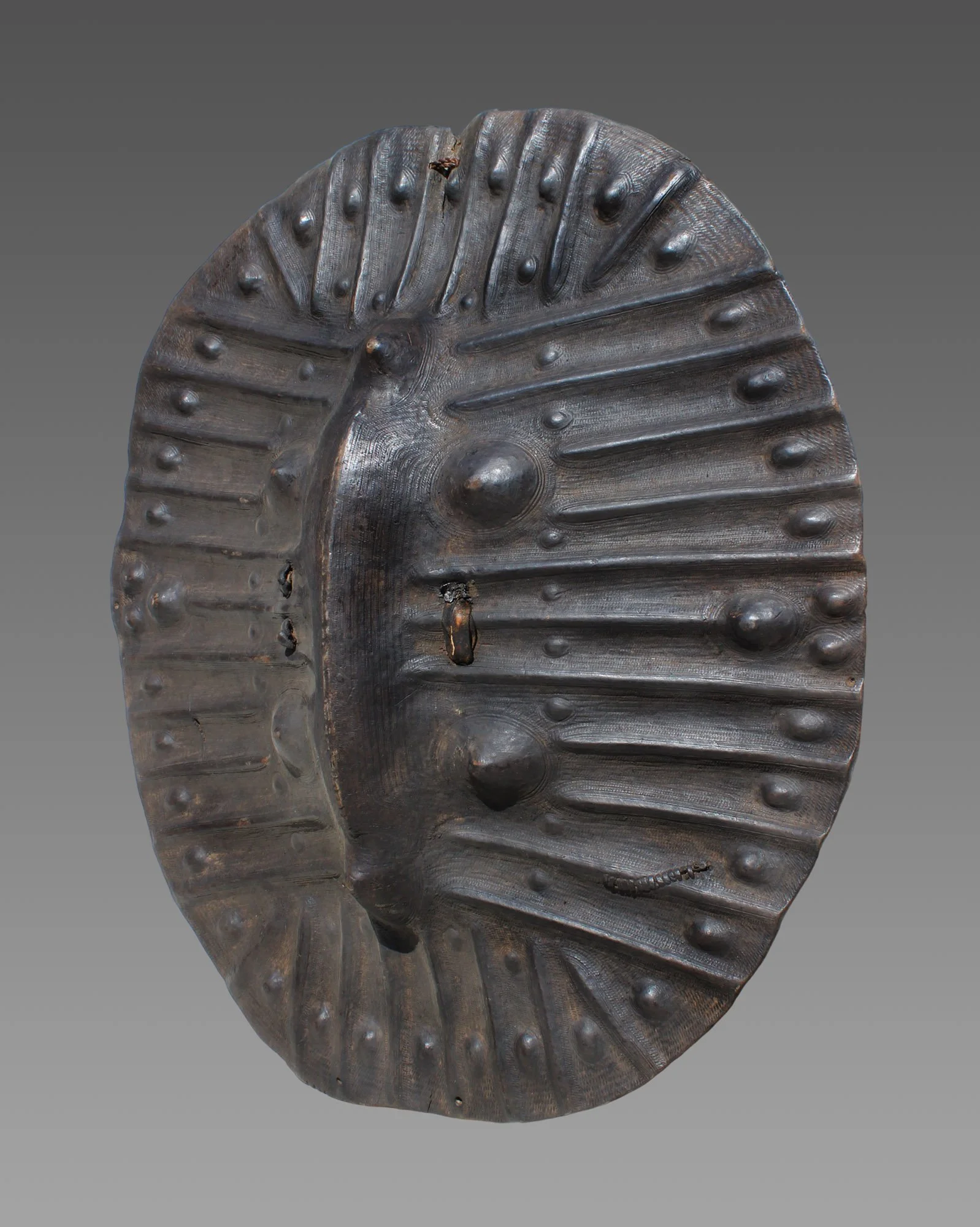 4815-shield-b.JPG