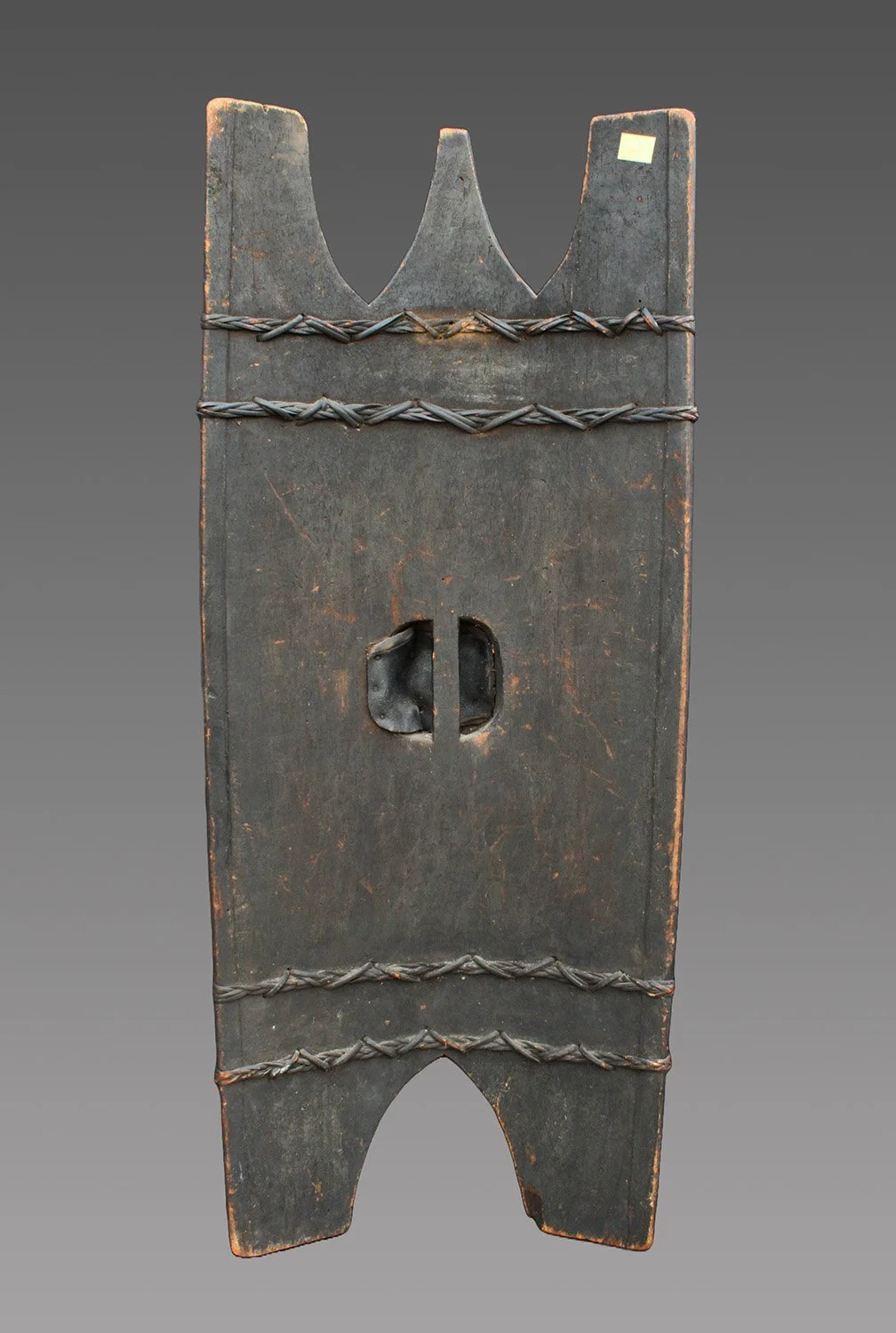 4595-shield-c.JPG
