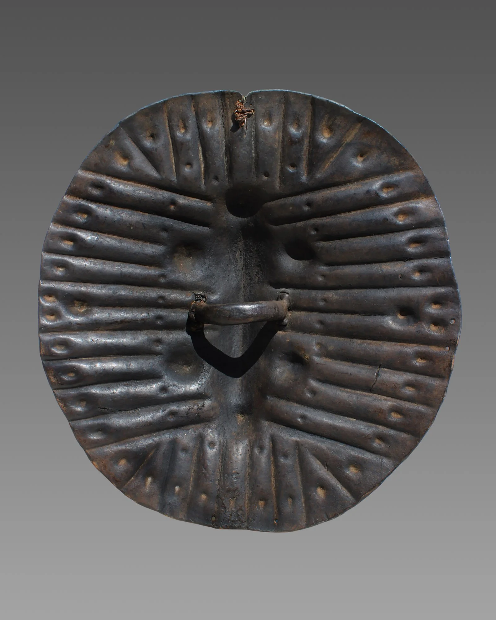 4815-shield-c.JPG