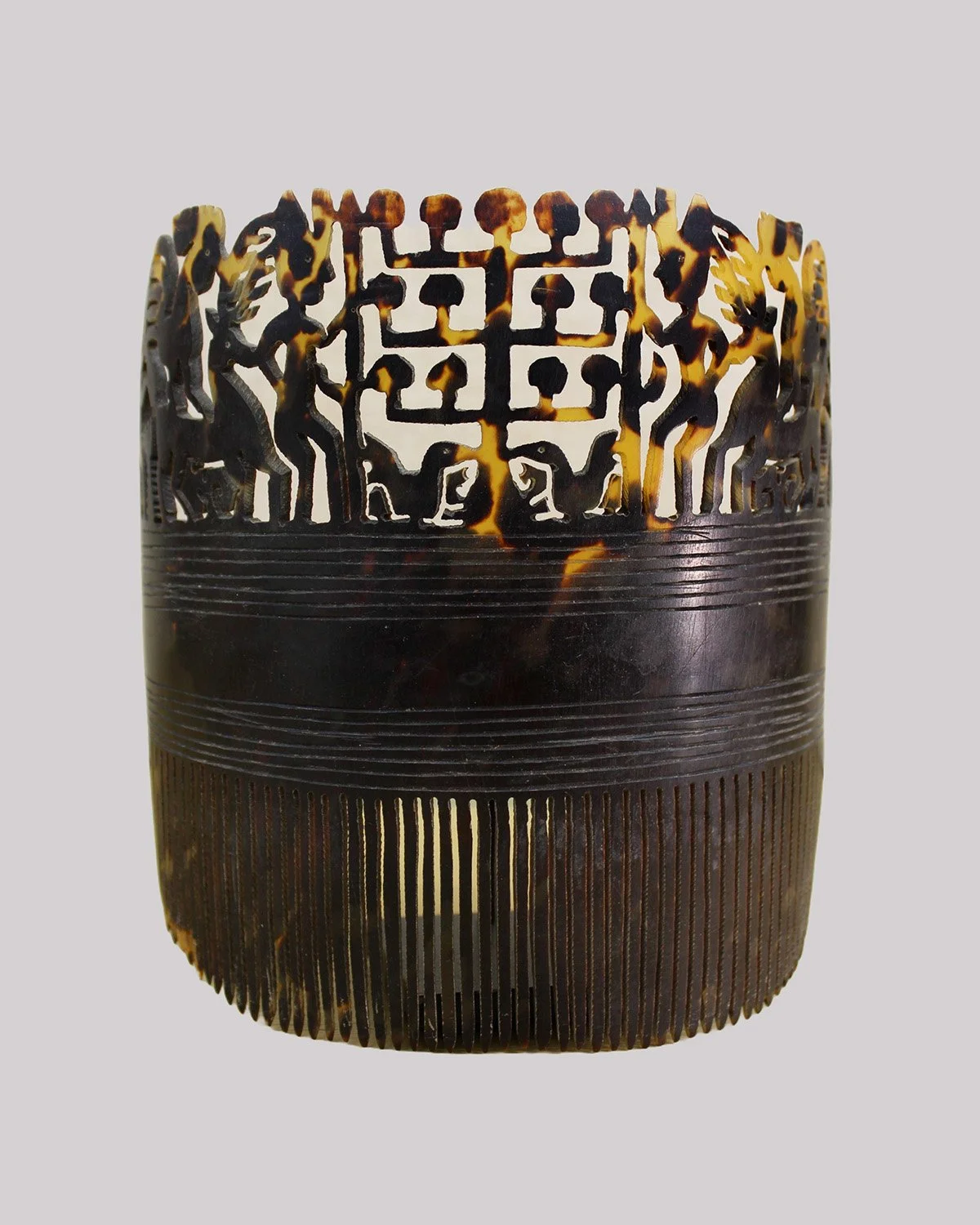 fjsc19-comb-a.JPG